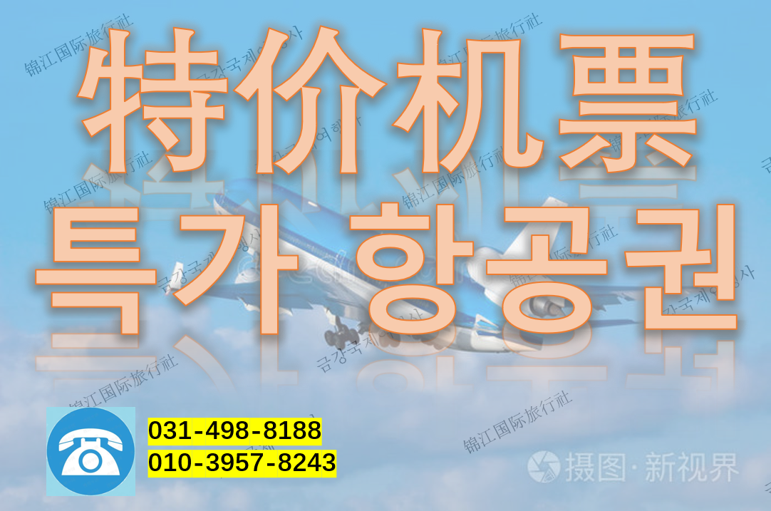 금강국제여행사
