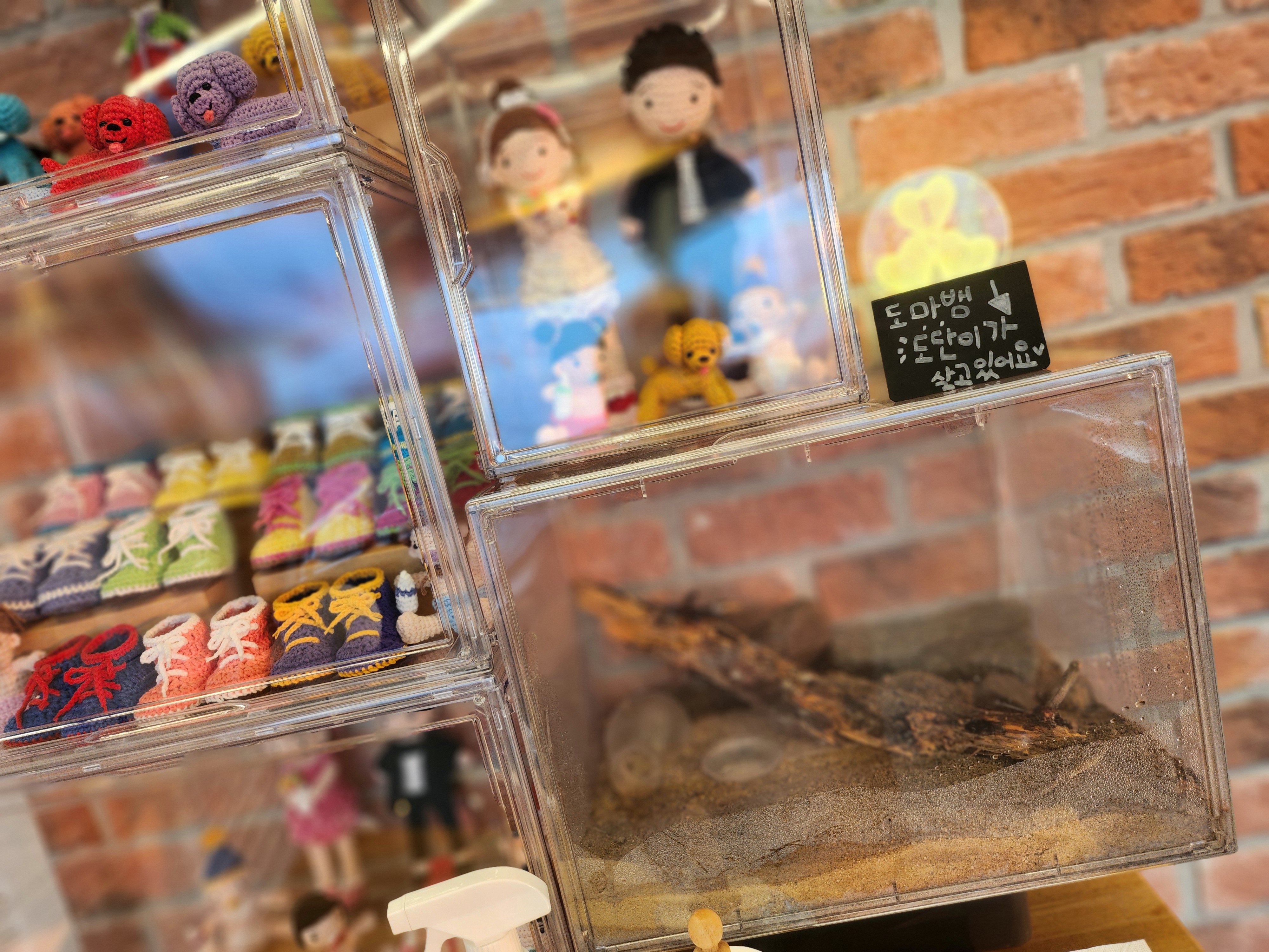 마실카페 개인취향 이미지
