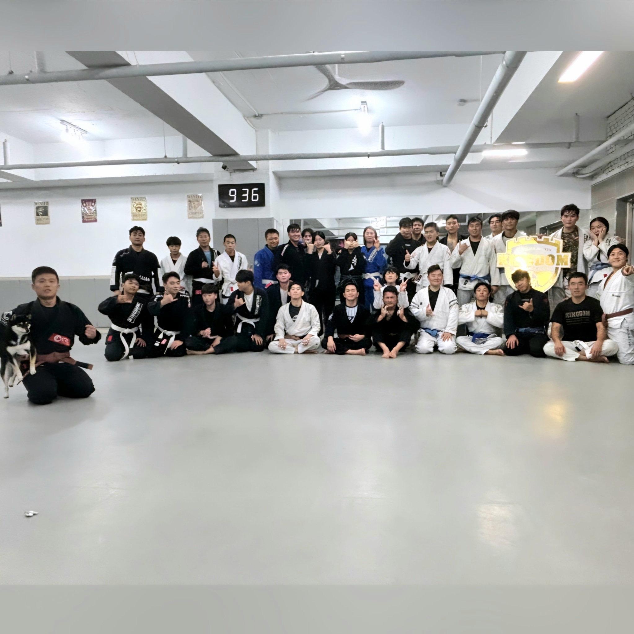킹덤주짓수 신마산지부