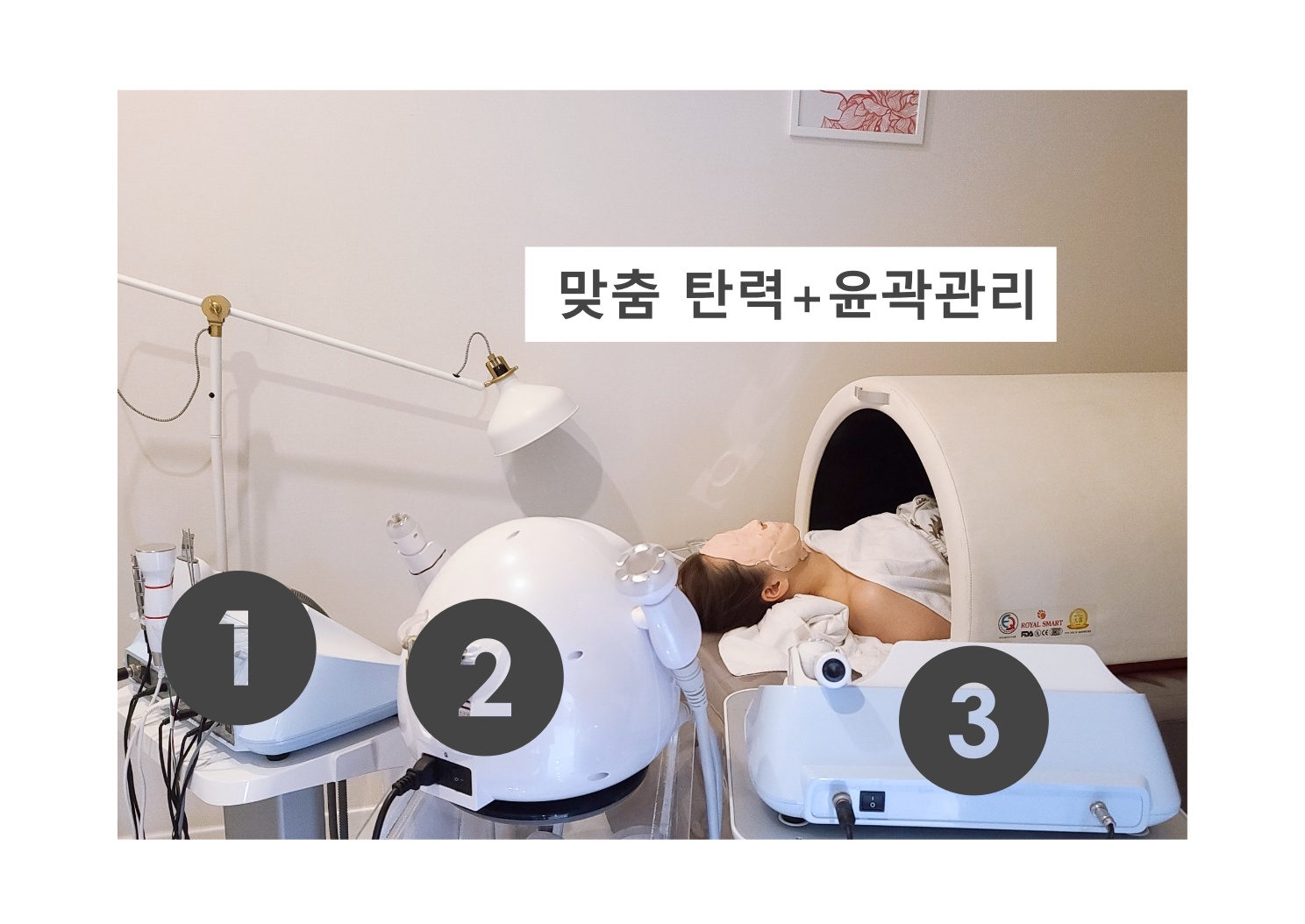 더마올가스킨