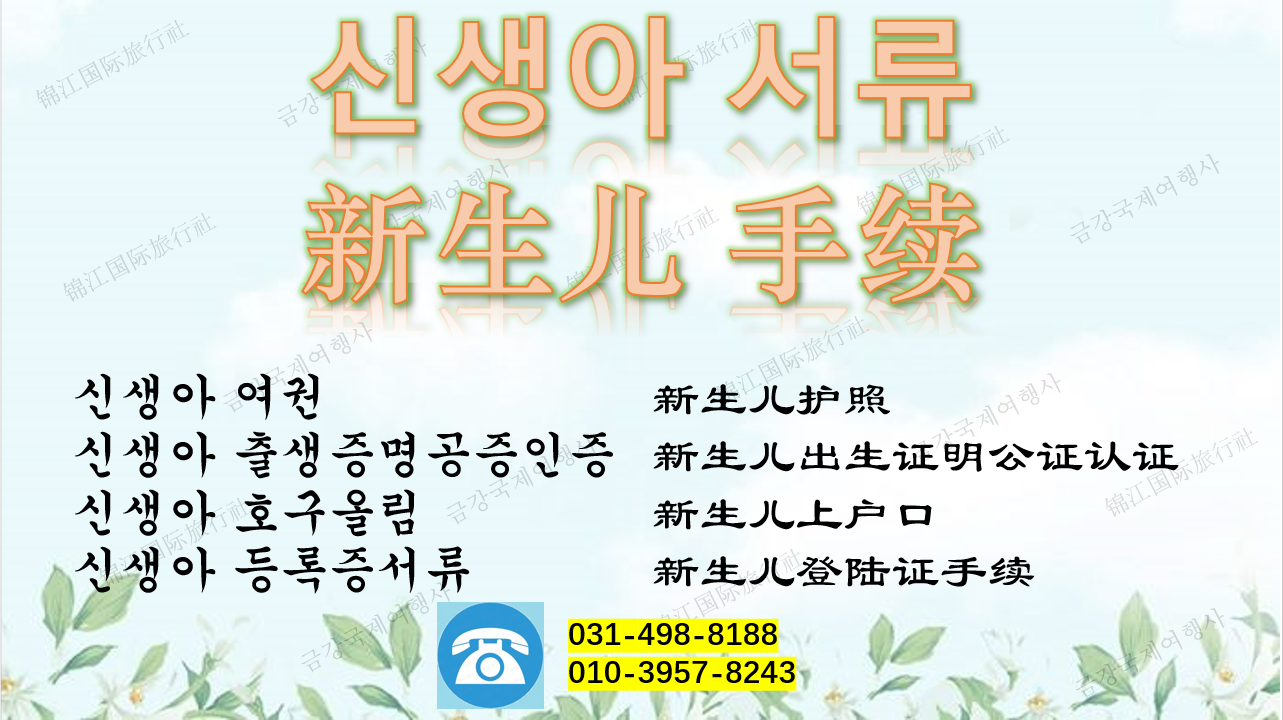 금강국제여행사