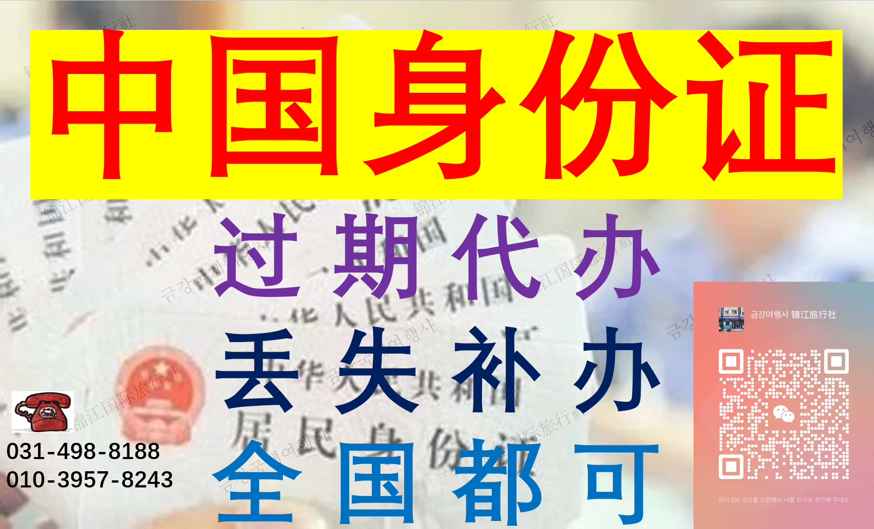 금강국제여행사