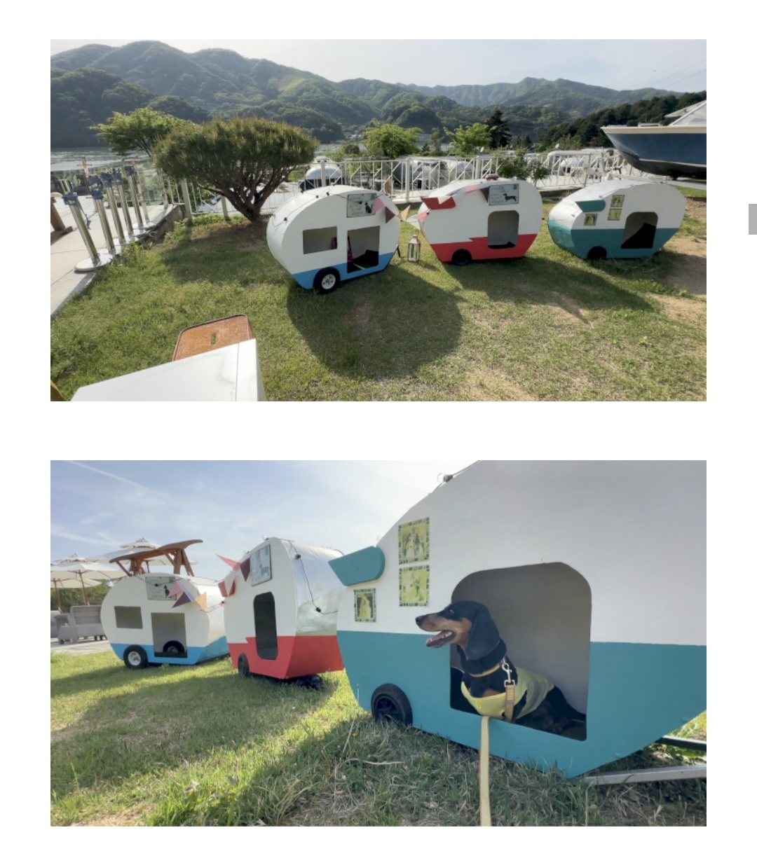 아웃오브파크