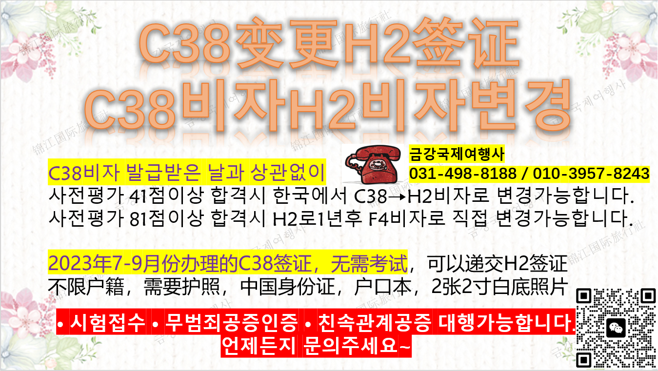 금강국제여행사