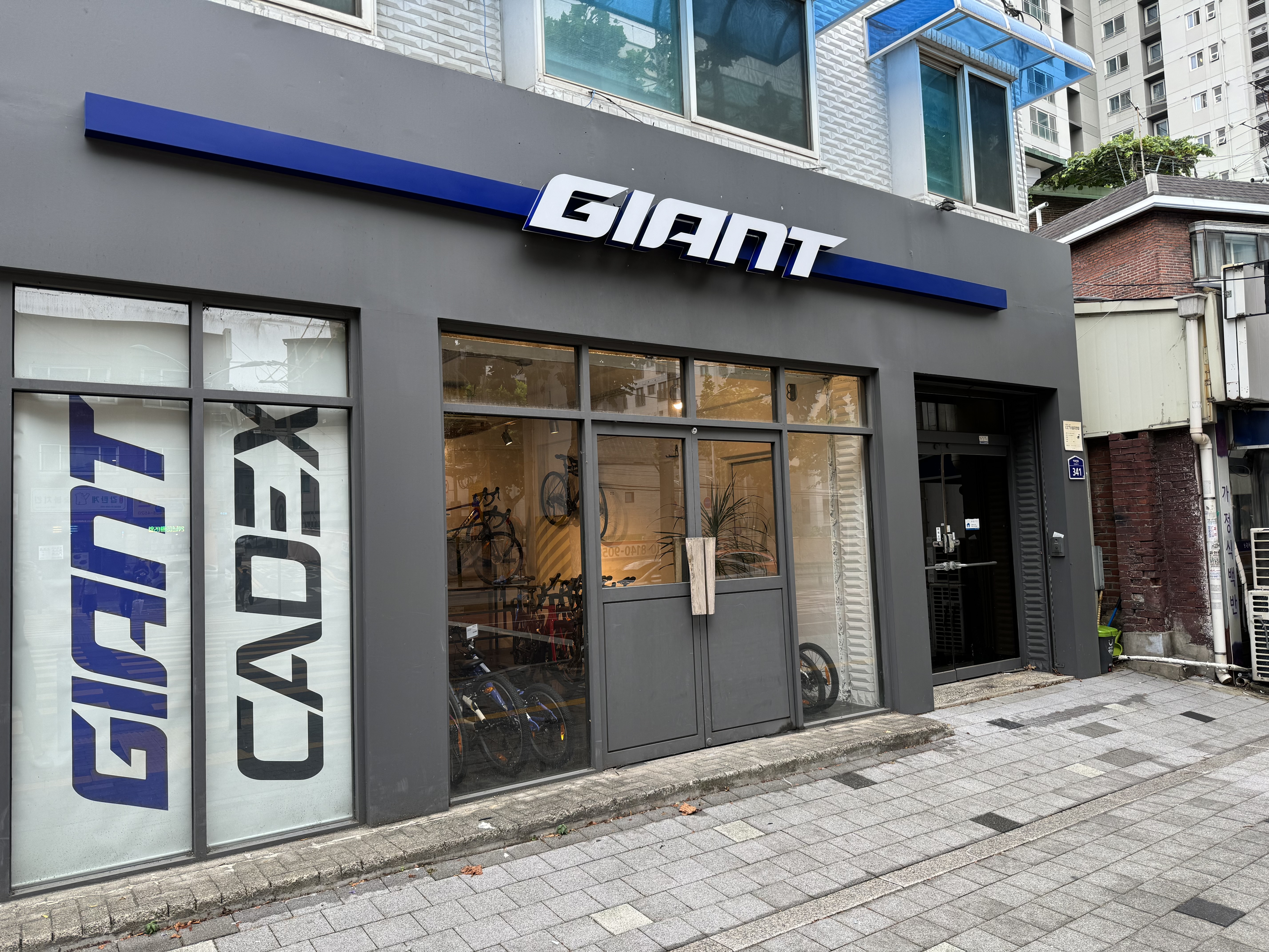 홍벨로 대표 이미지