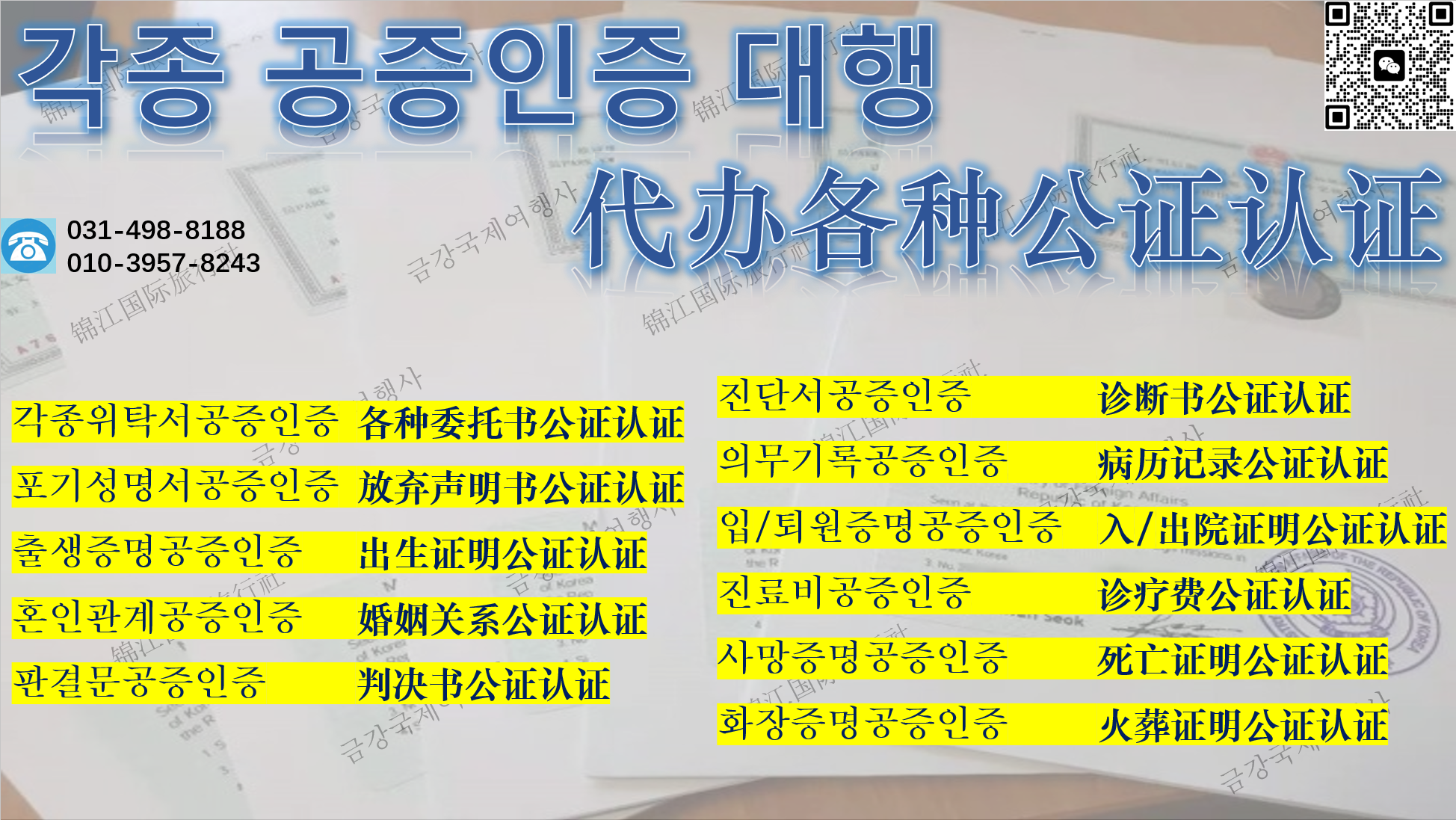 금강국제여행사