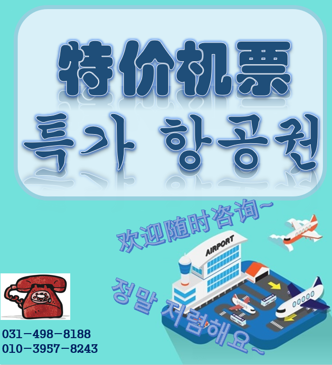 금강국제여행사