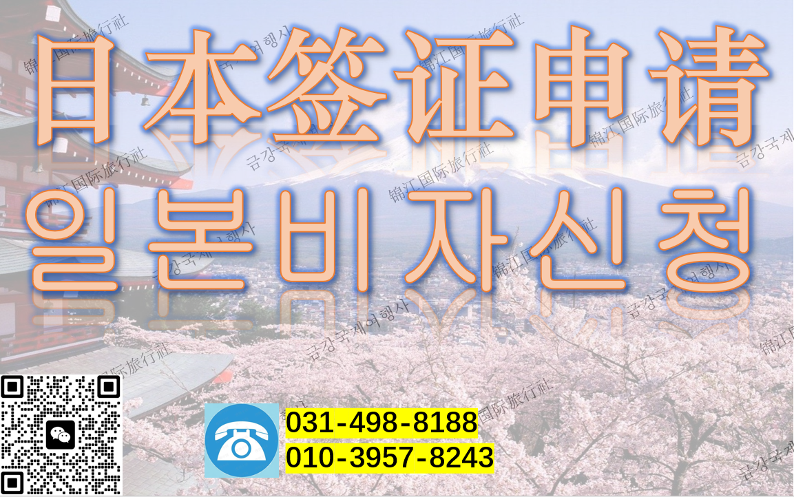 금강국제여행사