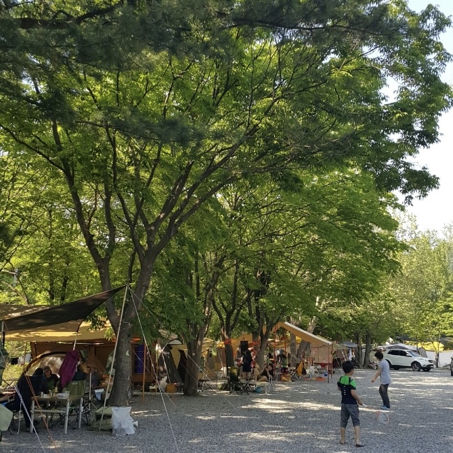 캠핑장 사진