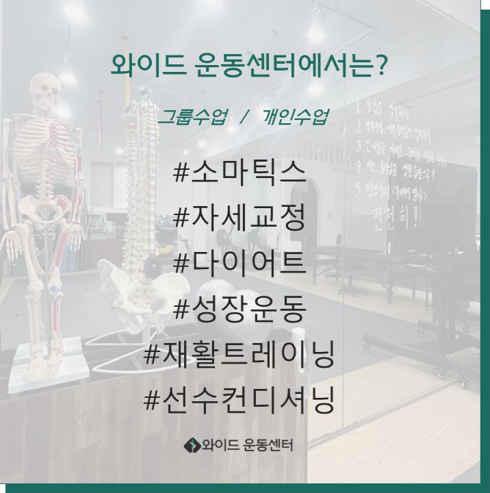 와이드 운동센터