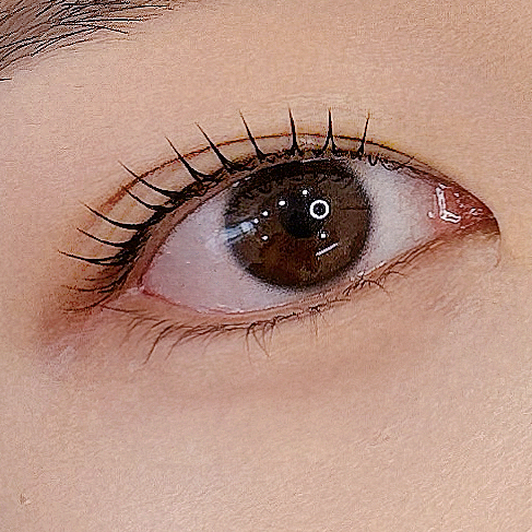 로니브로우 대표 이미지