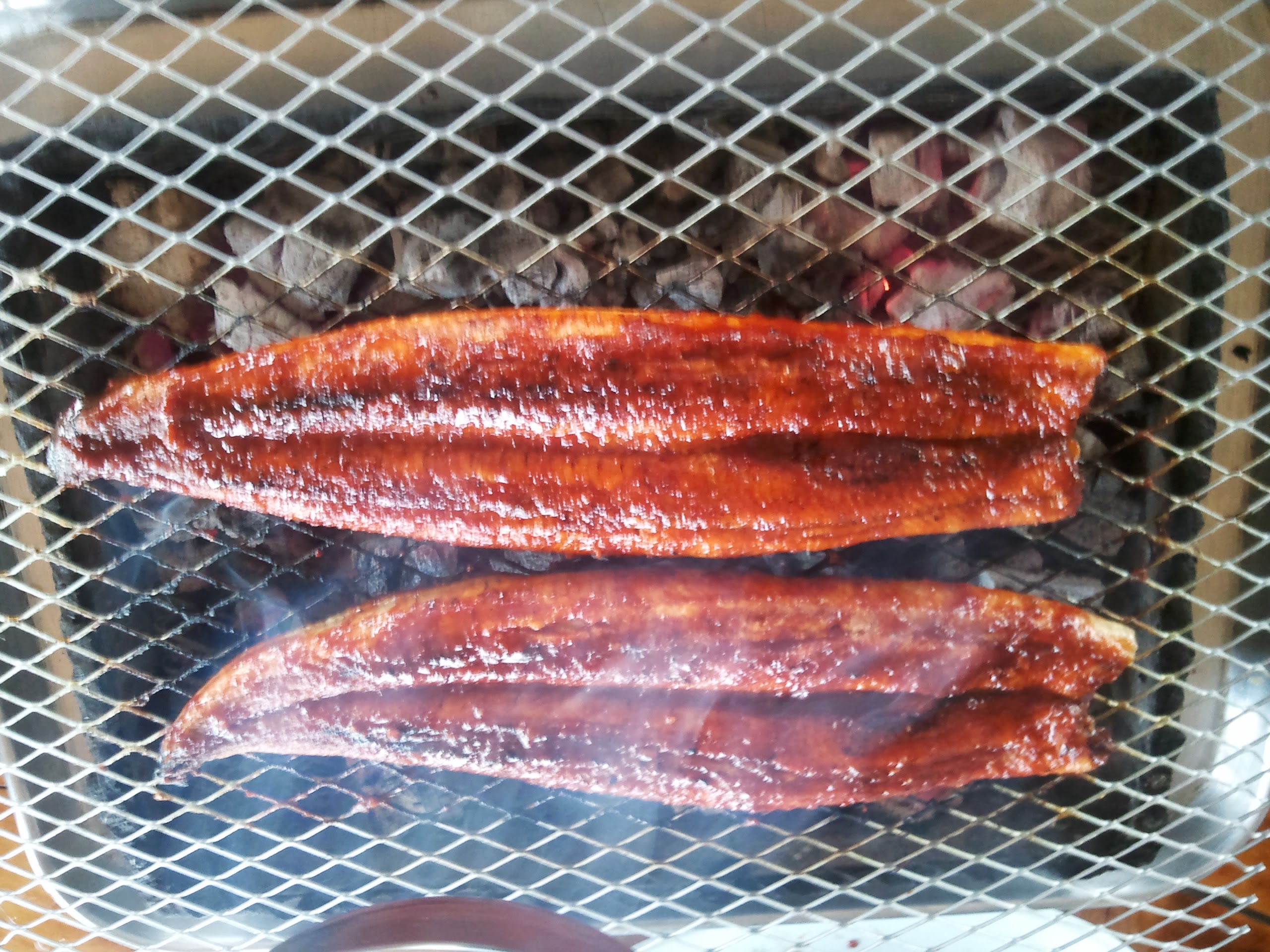 경포천장어