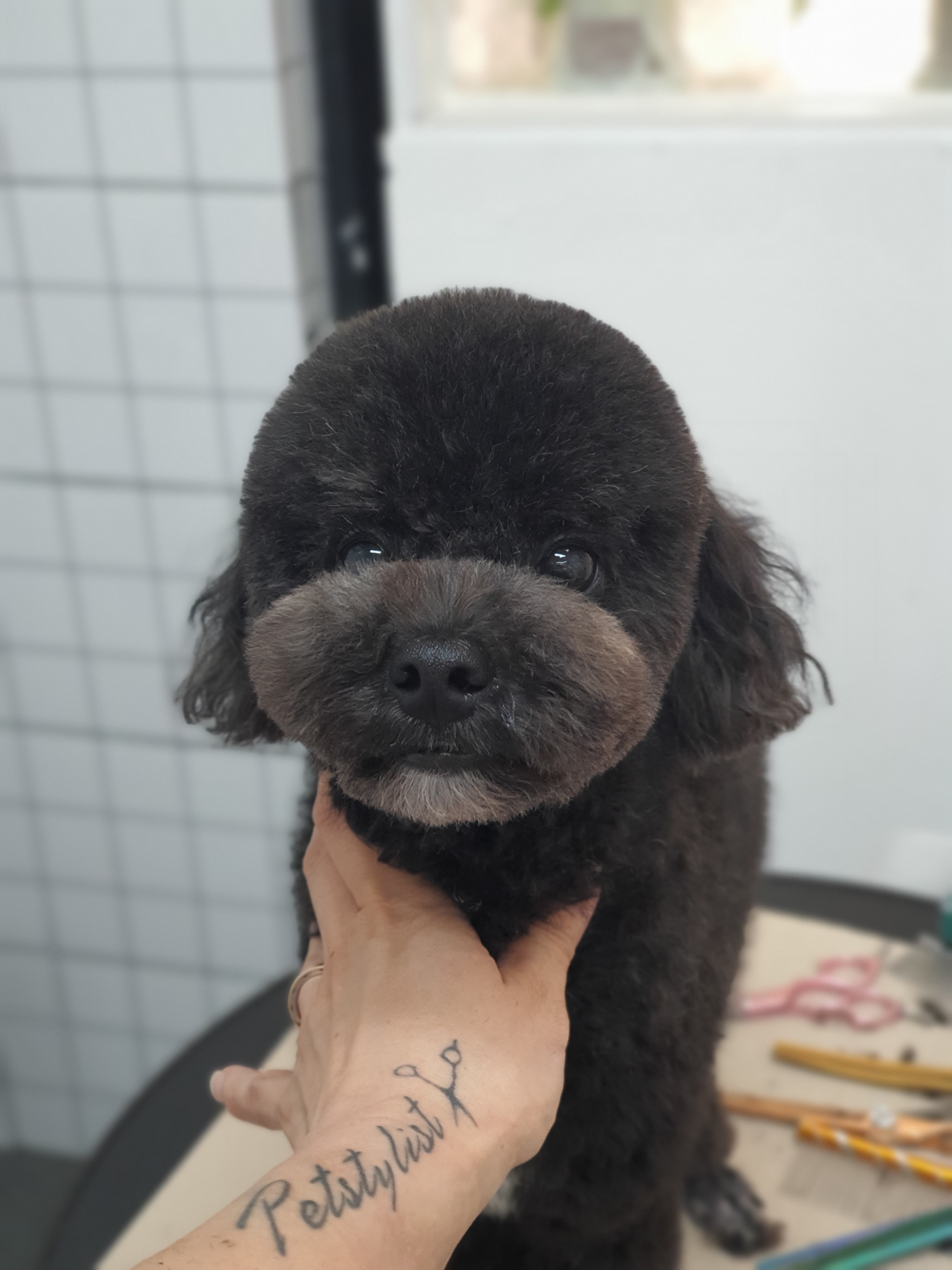 에브리댕댕