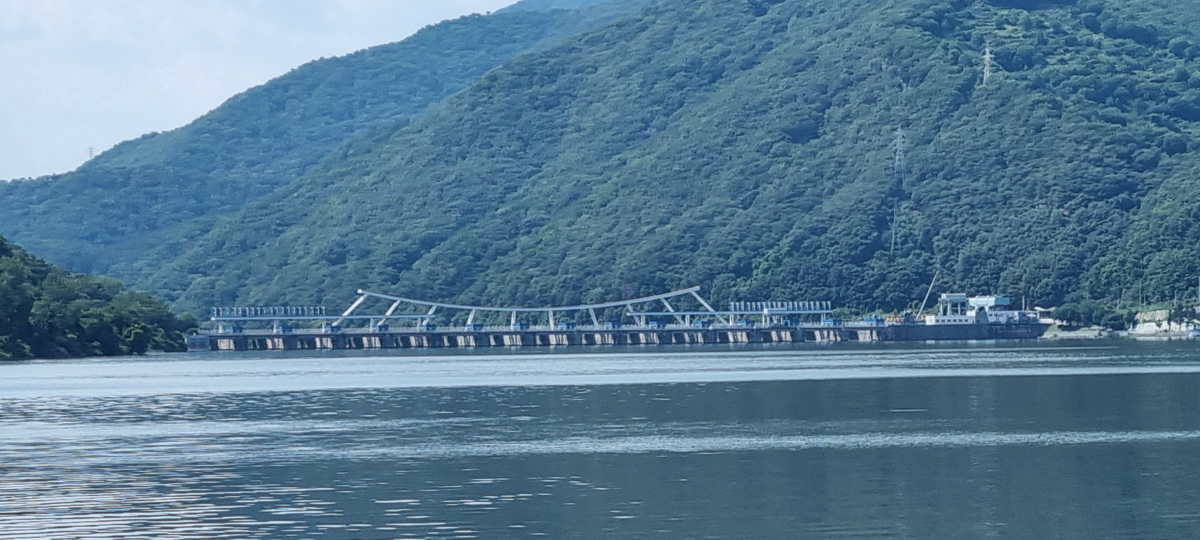 고빛심리상담센터 대표 이미지