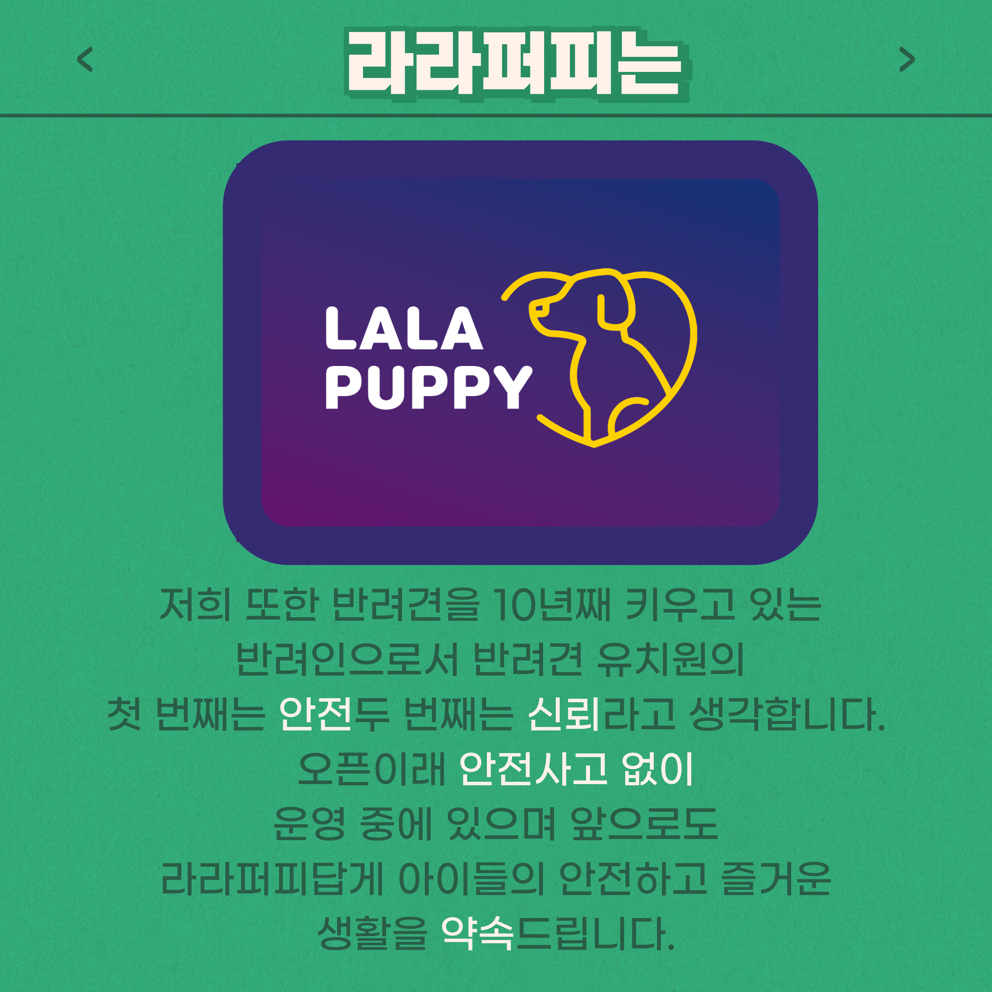 라라퍼피 반려동물 동반 애견카페