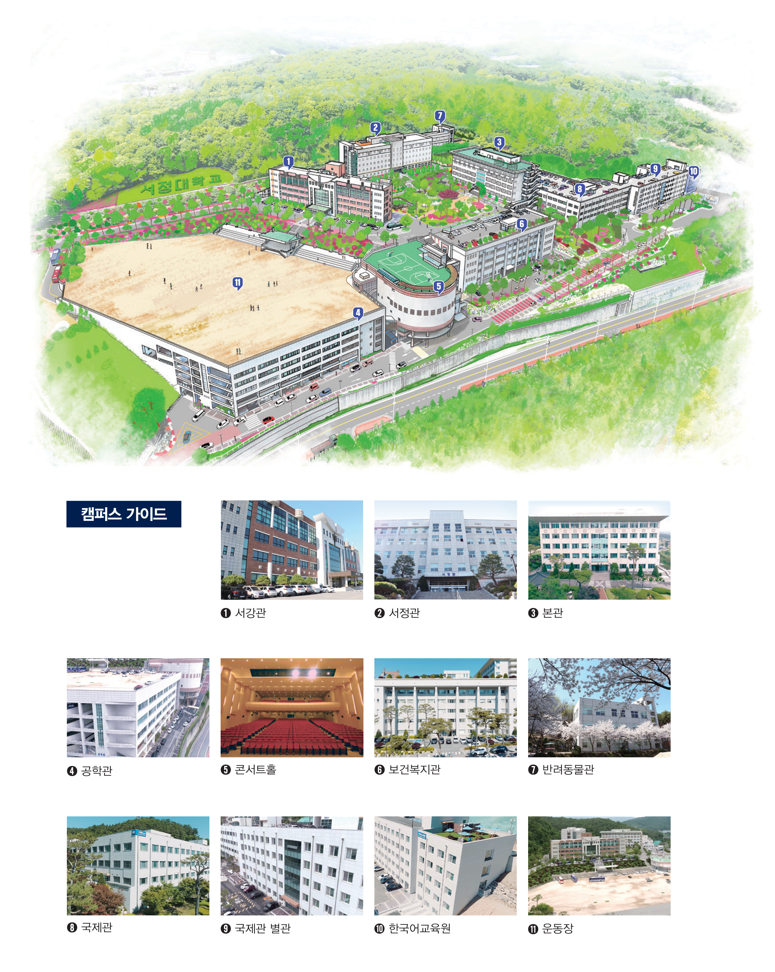 서정대학교