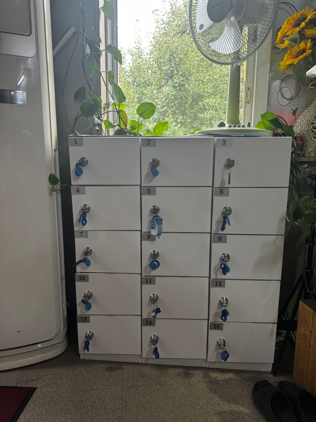 약손아로마 대표 이미지