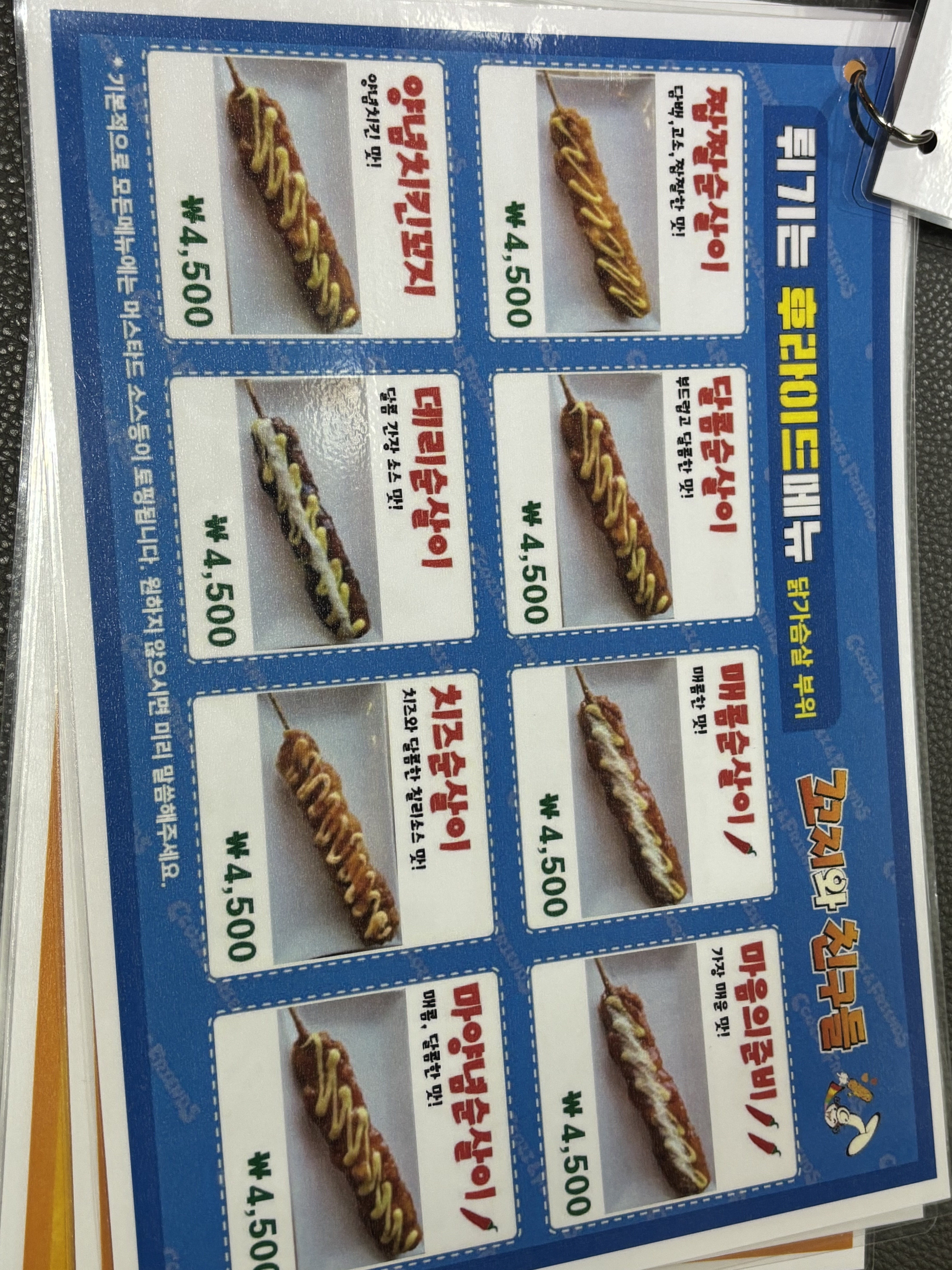 꼬지와 친구들