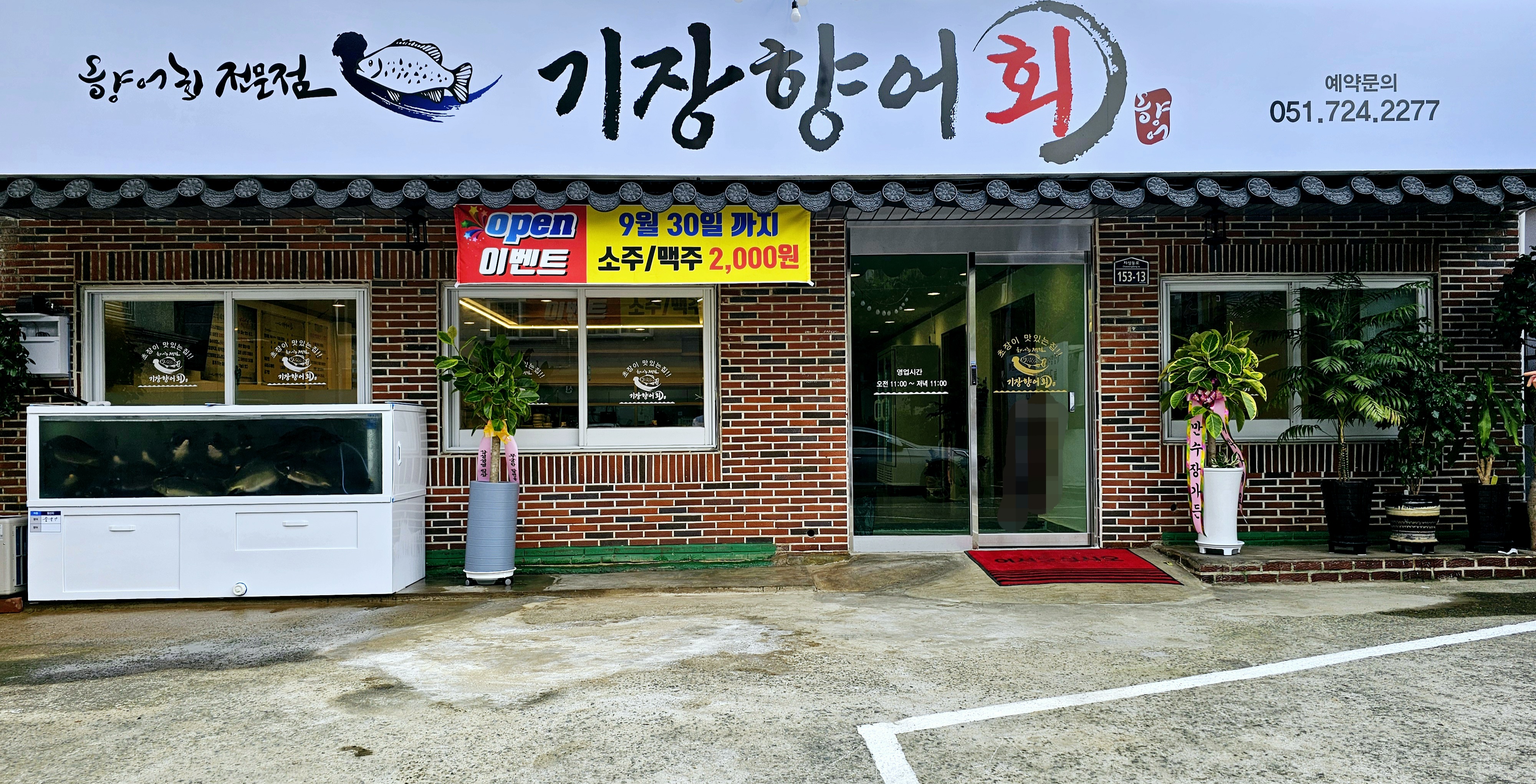 기장향어