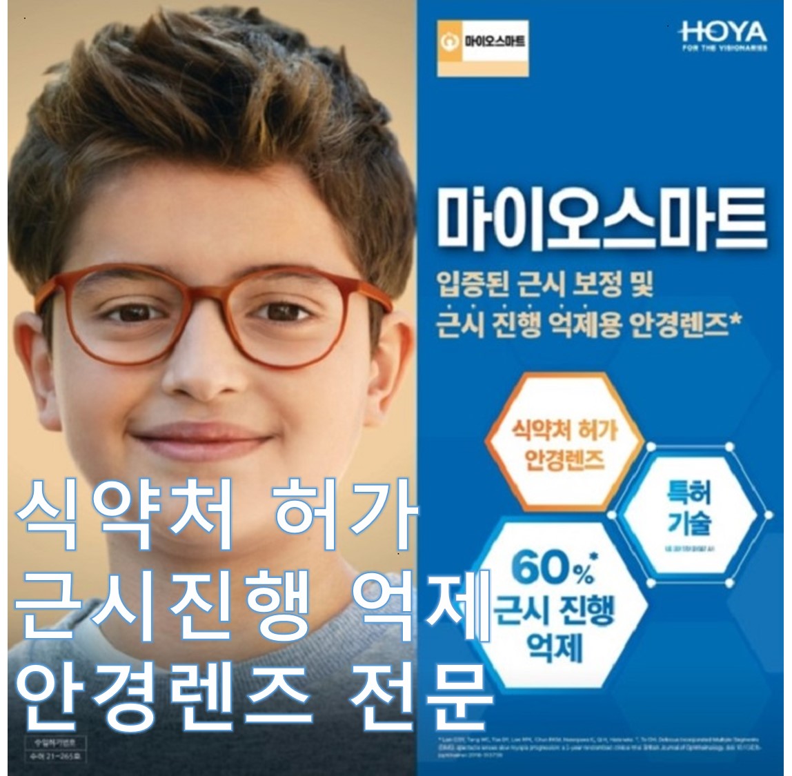 내포 옵티크