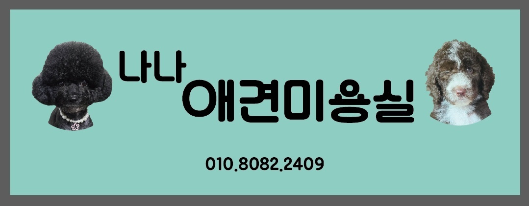 나나애견미용실
