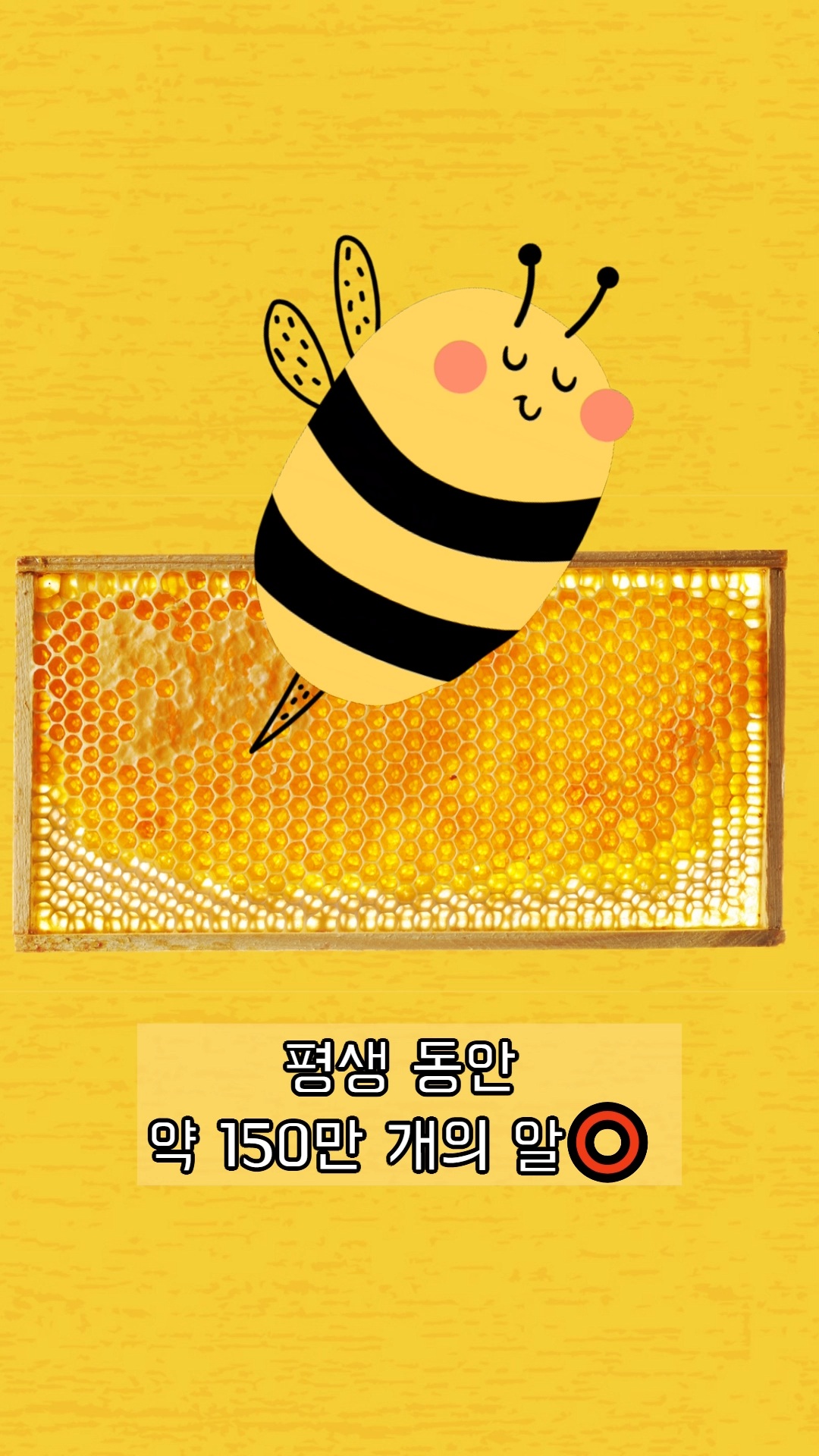 자연건강마트
