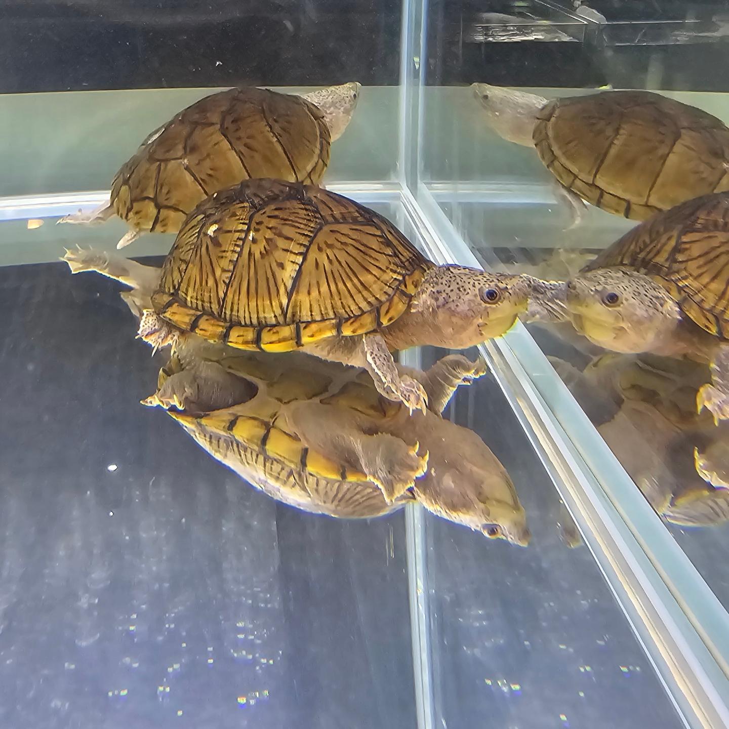 청주 더팜 수족관