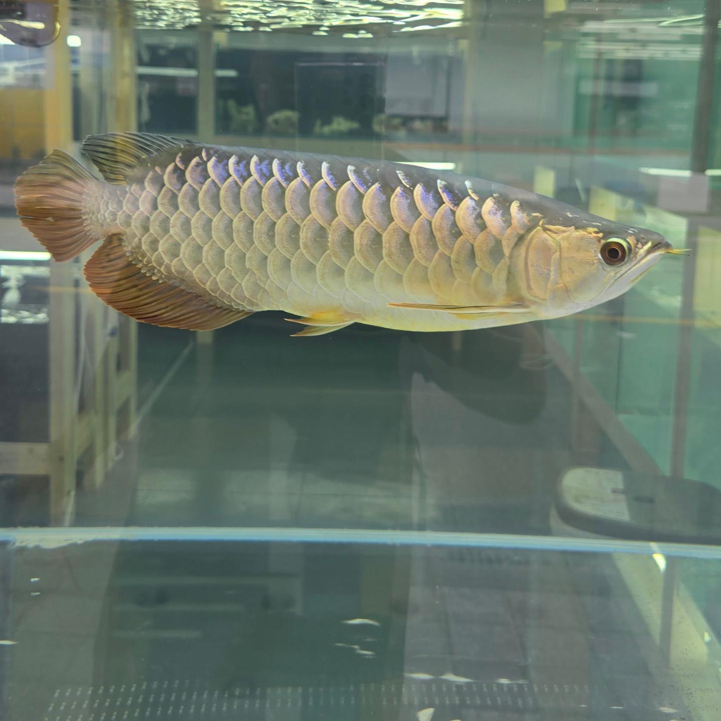 청주 더팜 수족관