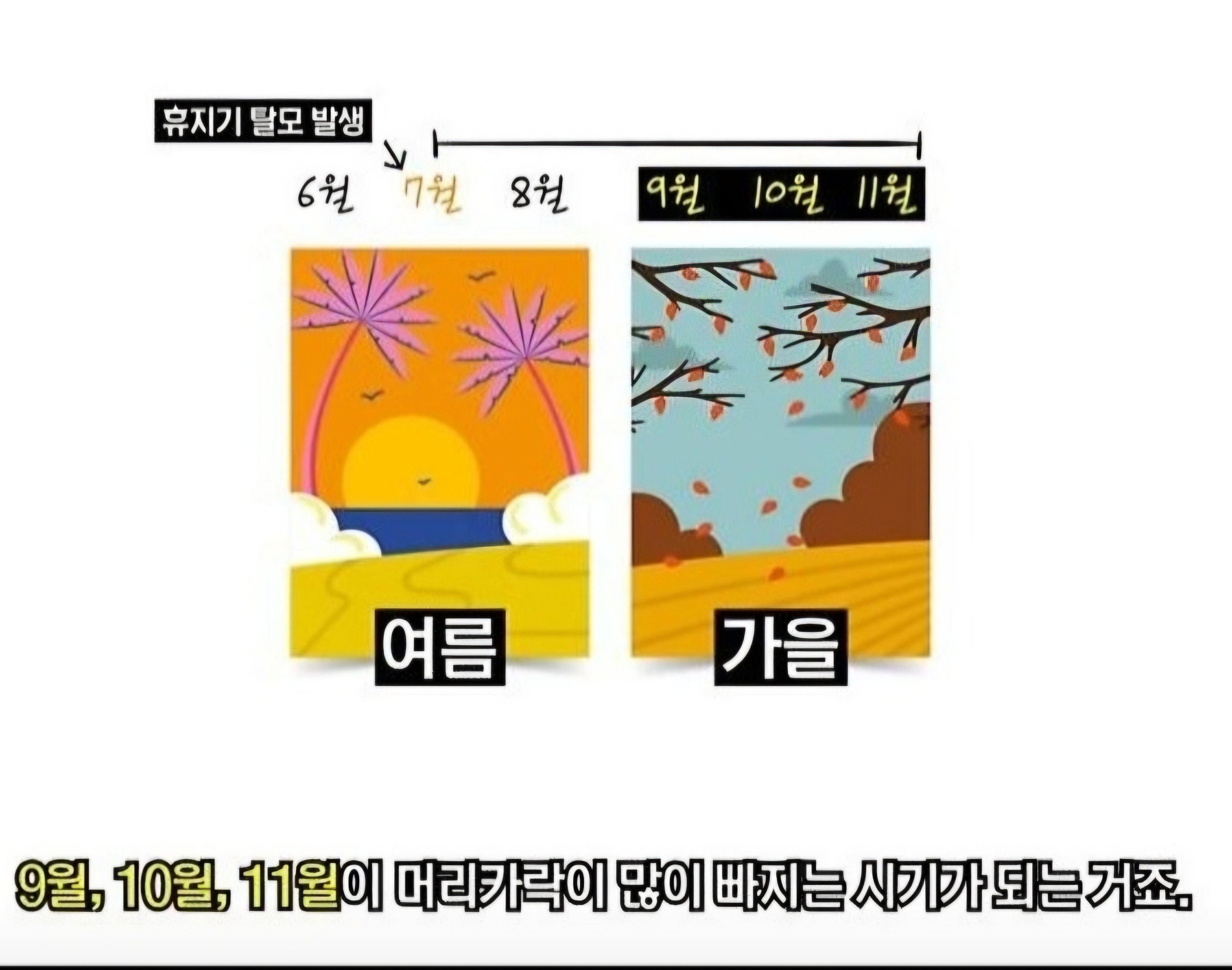 큐사랑 수지신봉점