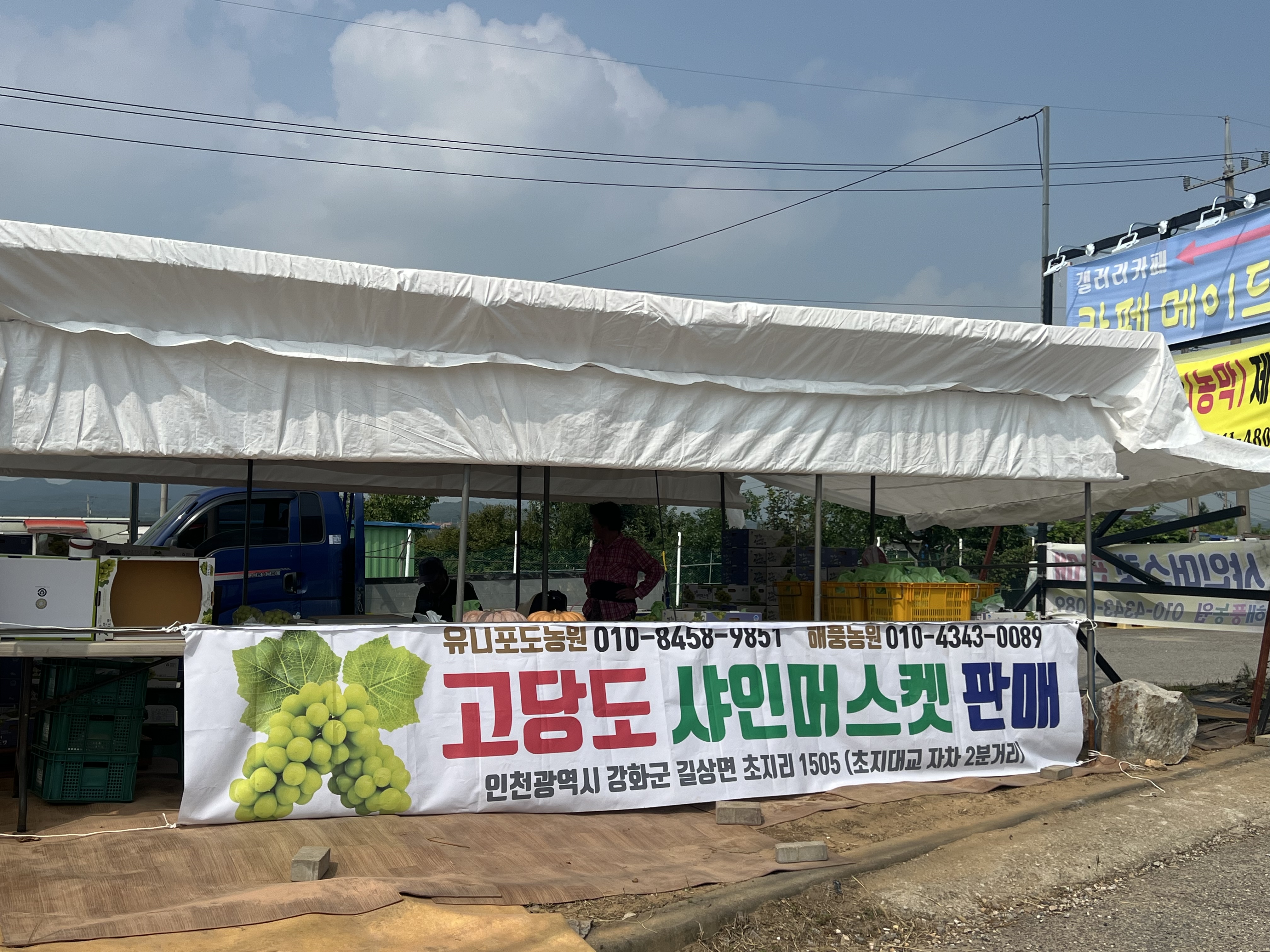 유니포도농원