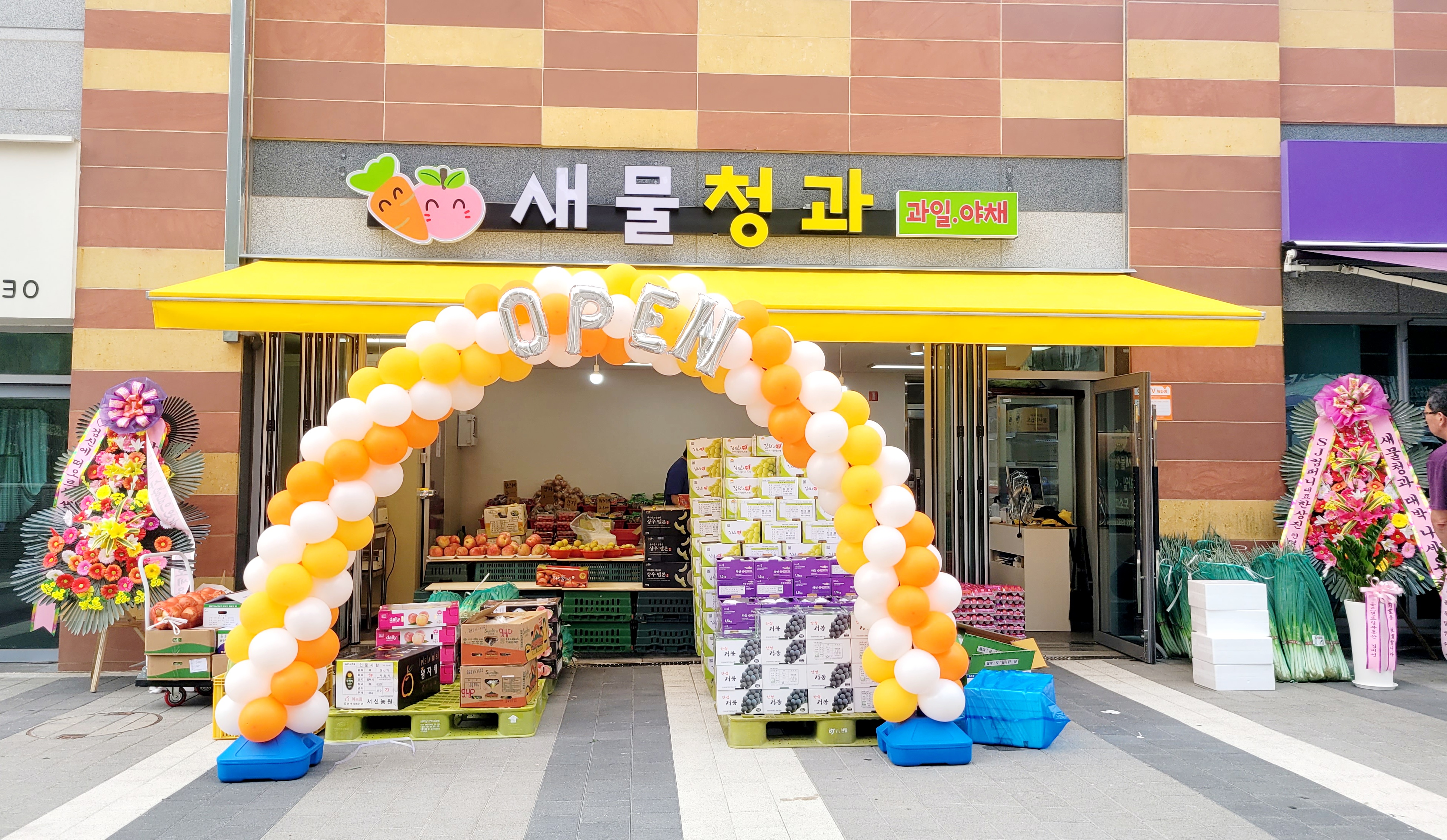 새물청과