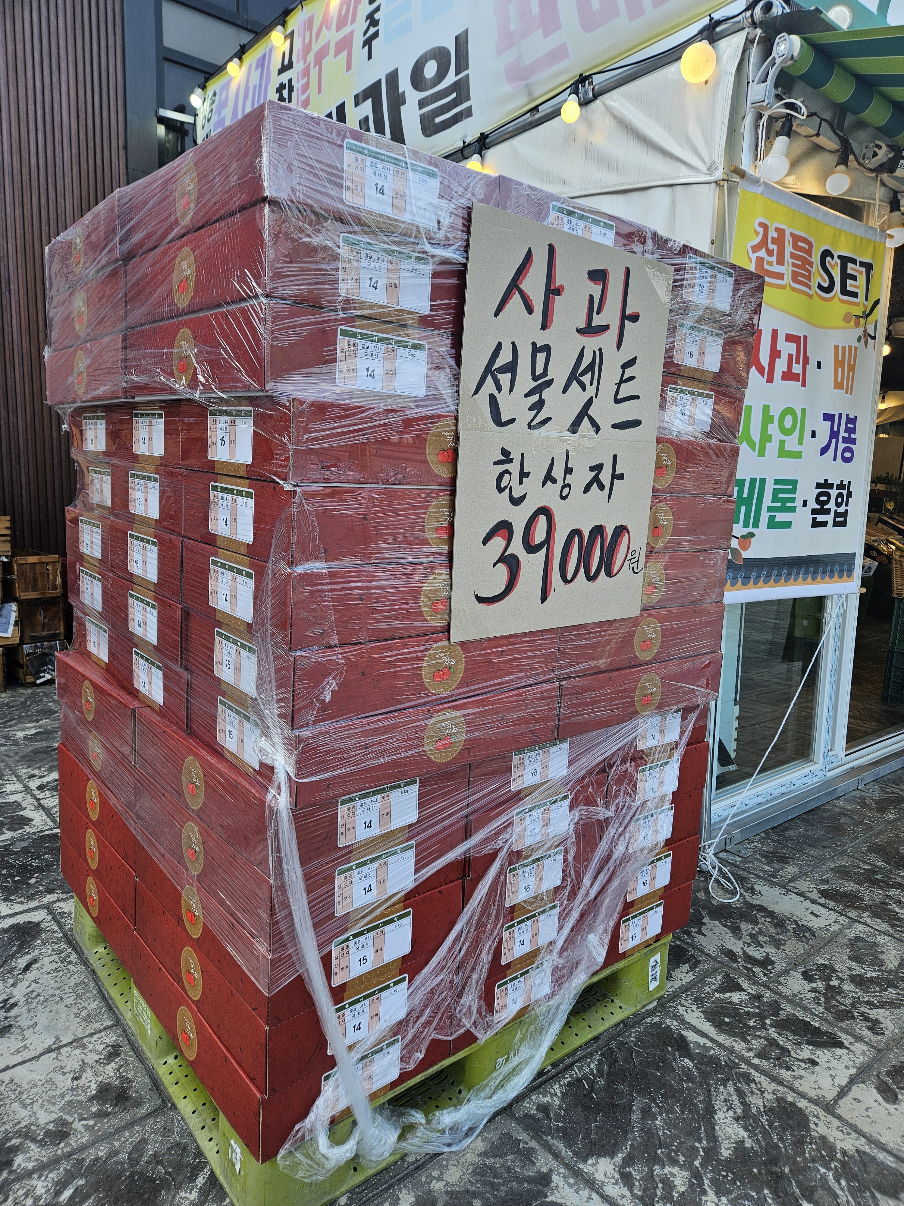 시온청과