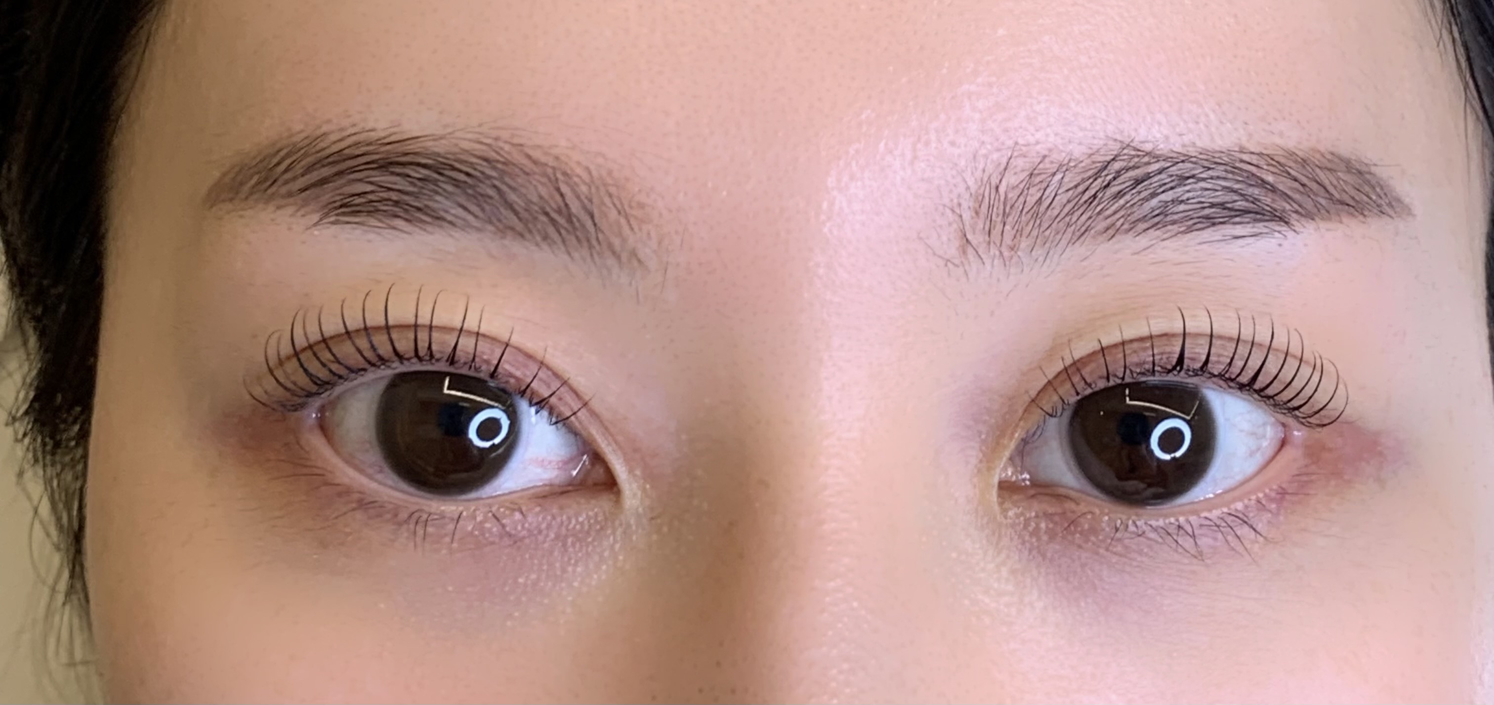 니쥬브로우 대표 이미지