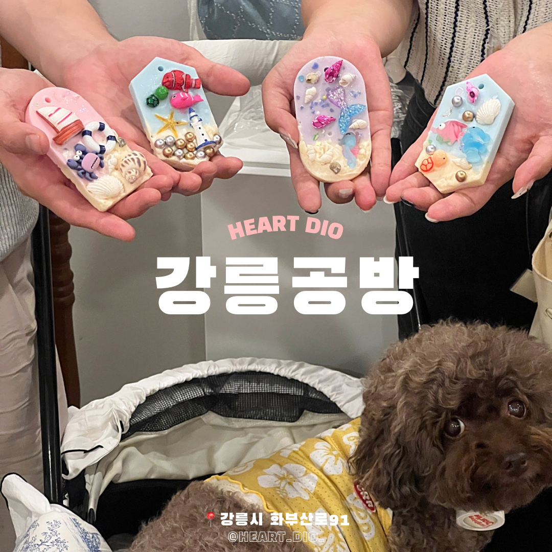 하트디오