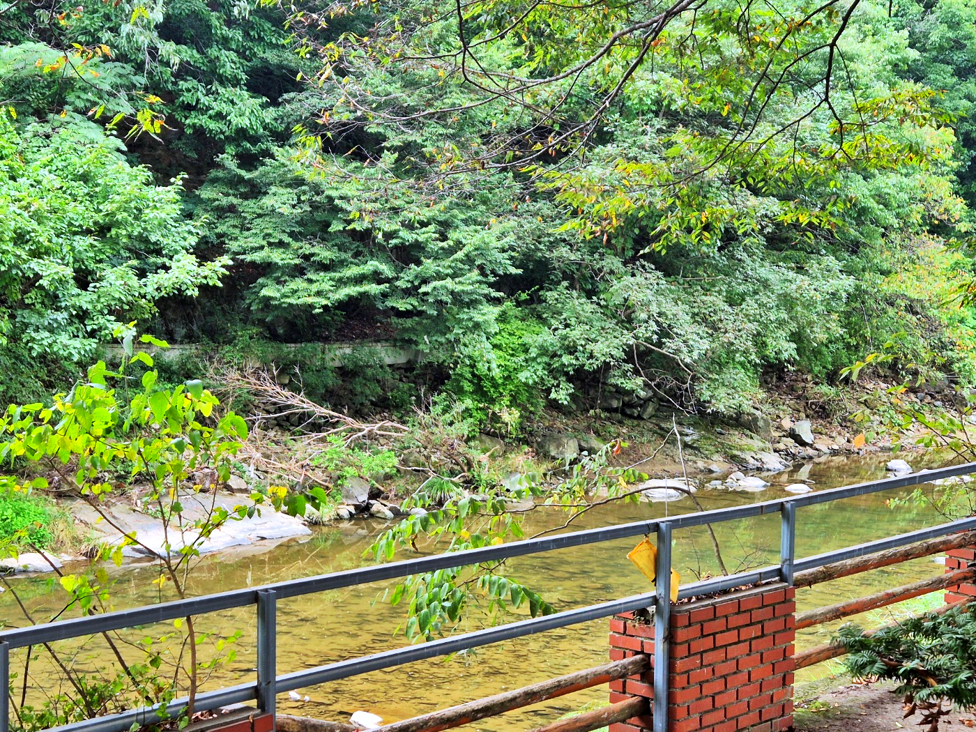 공주계곡이레캠핑장
