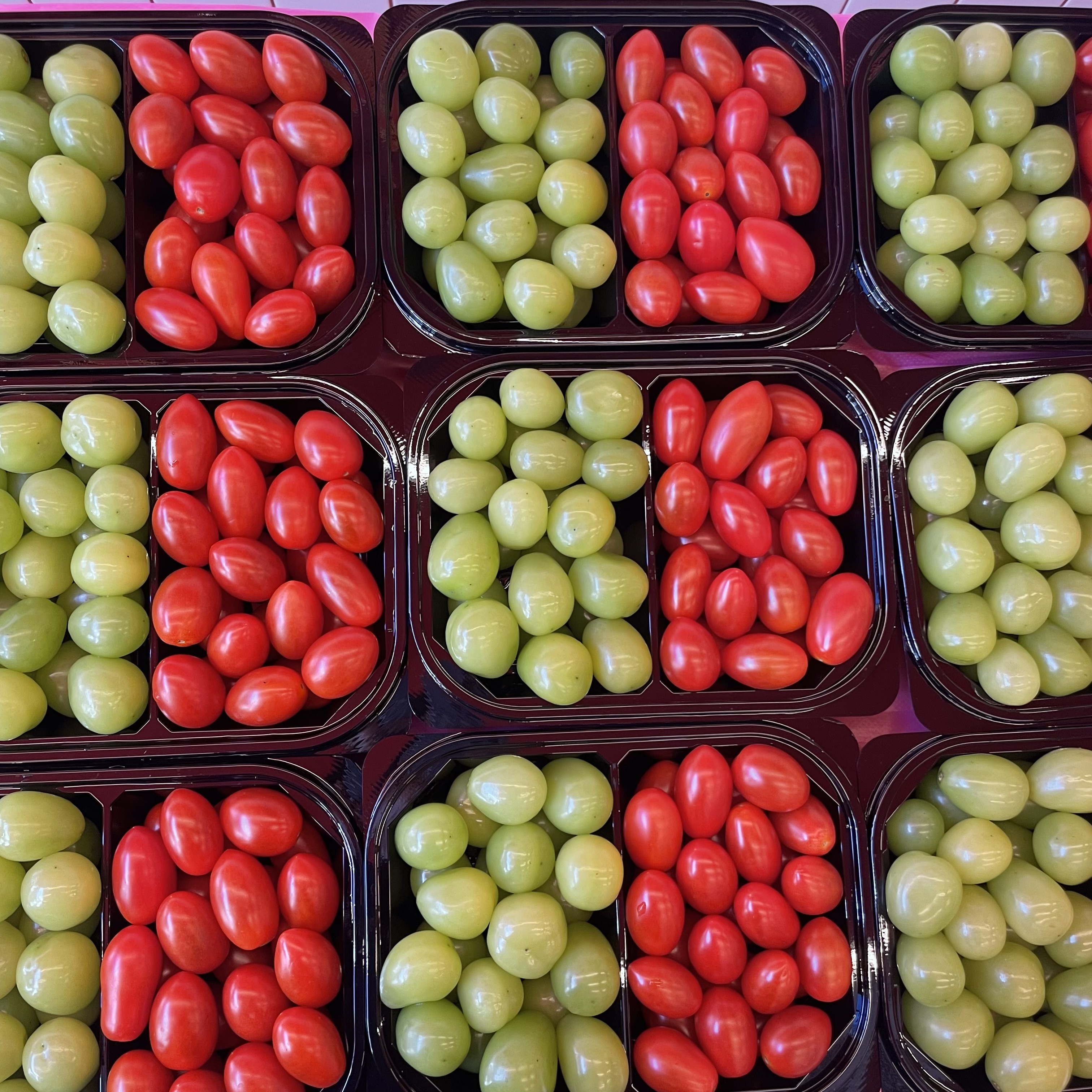 프룻비 fruit.B