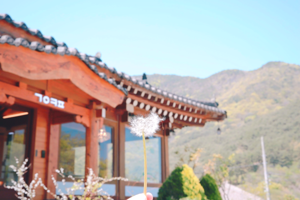 고유