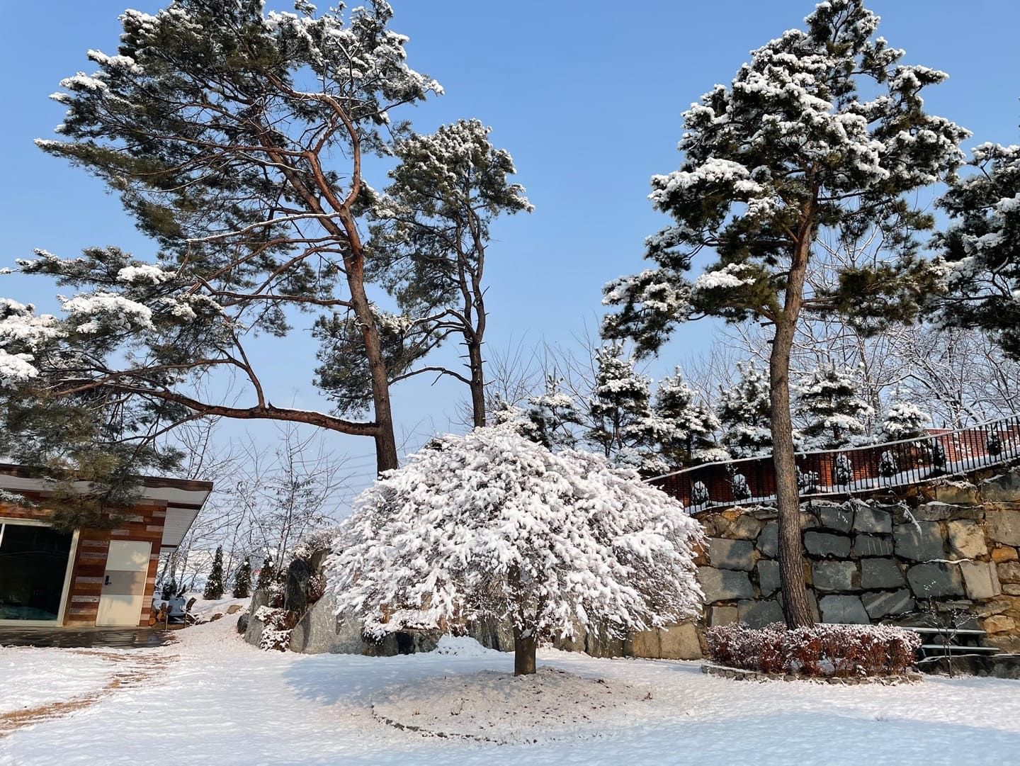늘푸른실버타운