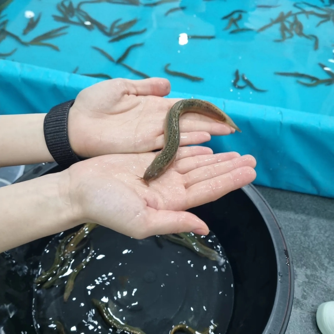 노리들노리쌤학원 고양점