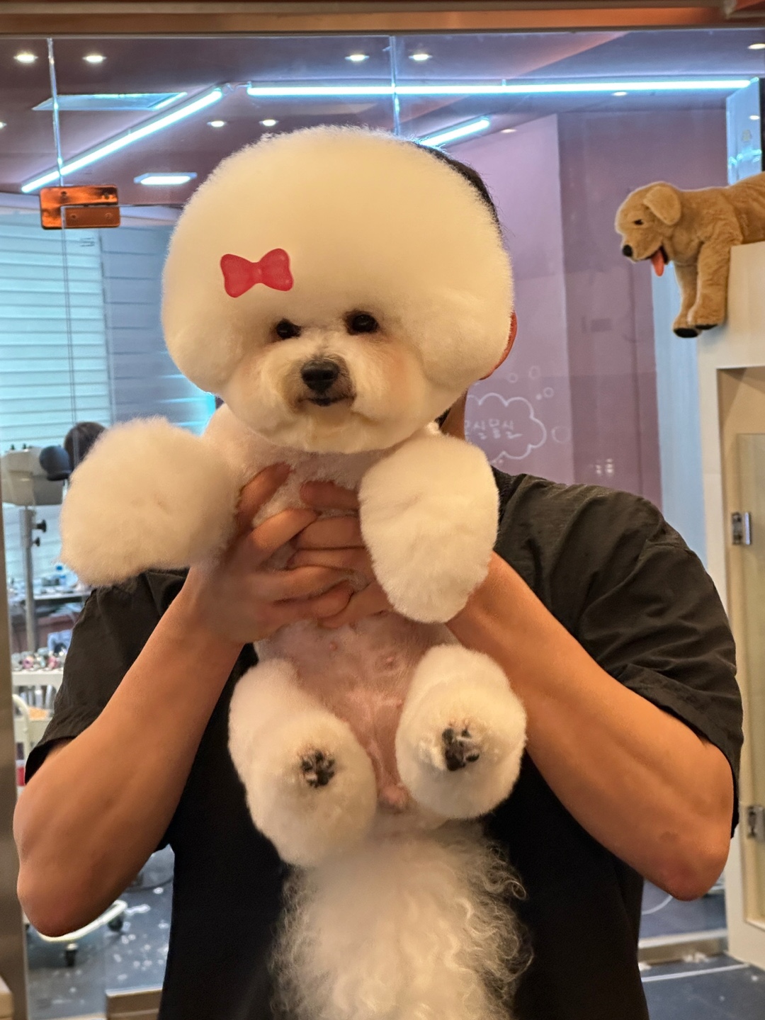 멍텔스컴바인 대표 이미지