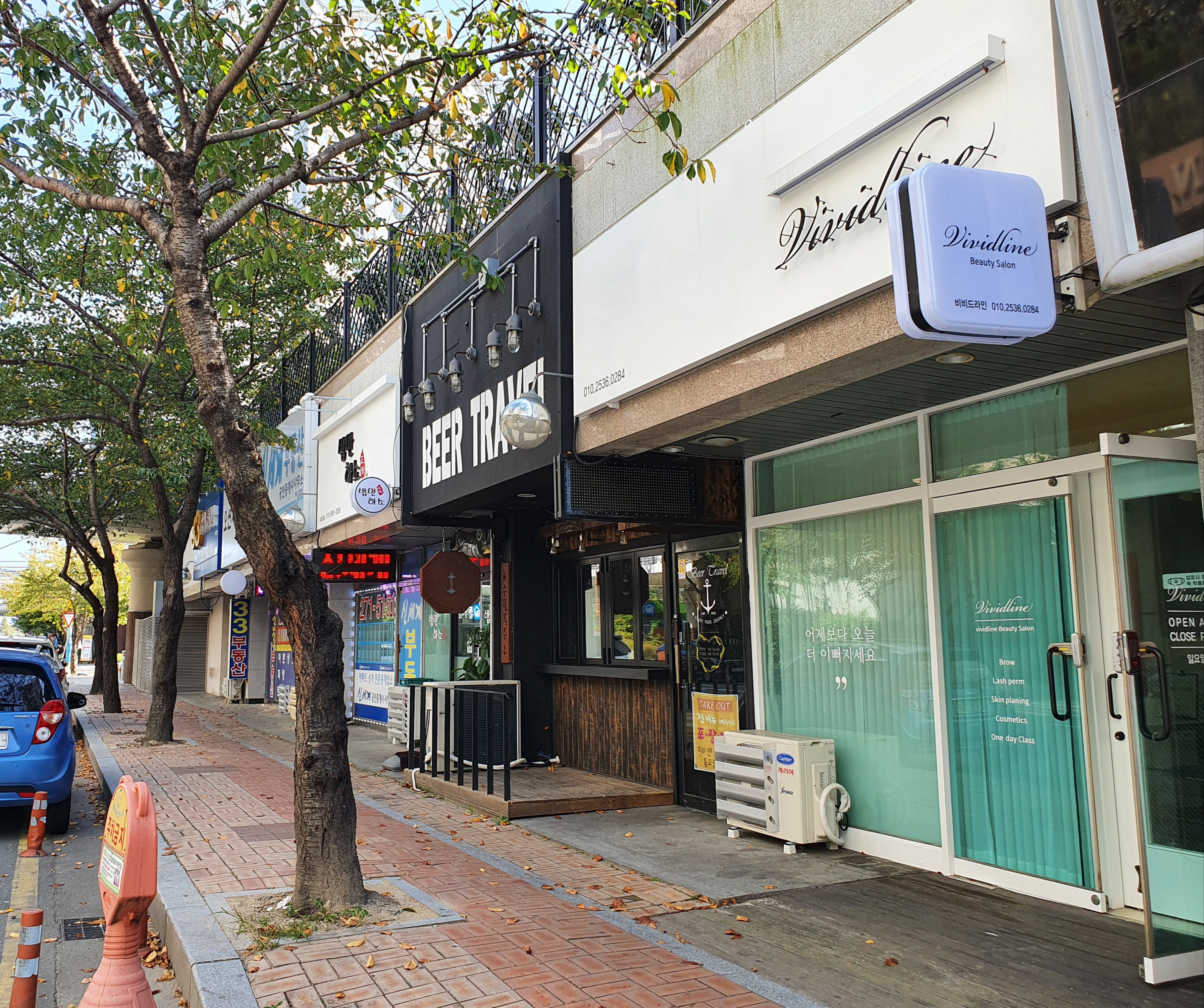 비비드라인 대표 이미지