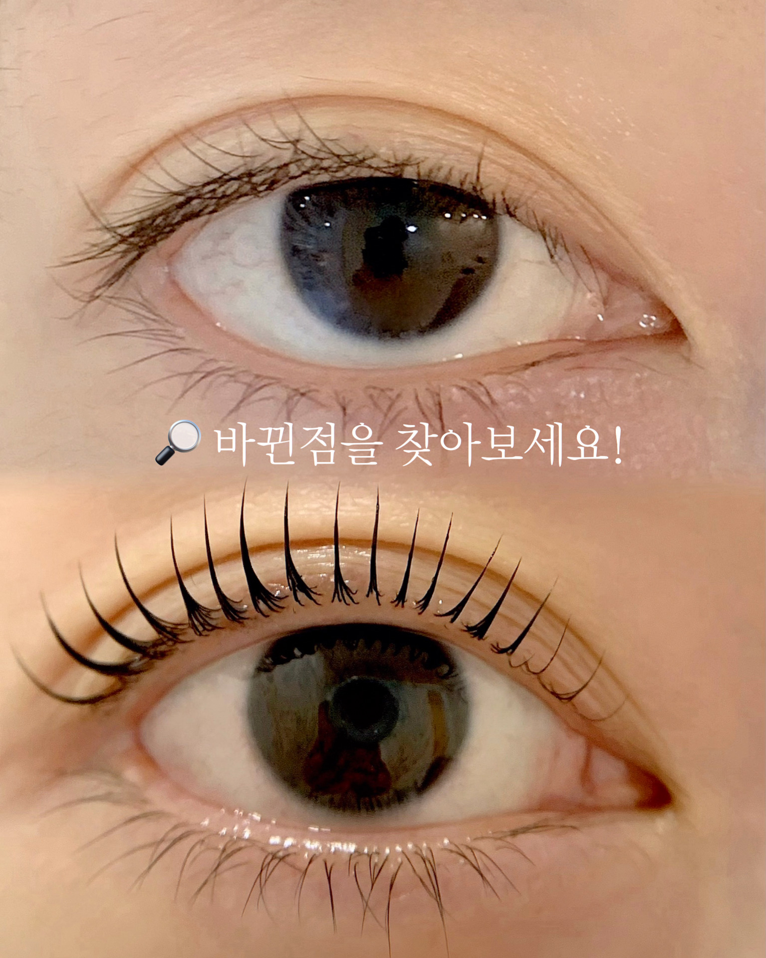 다봄