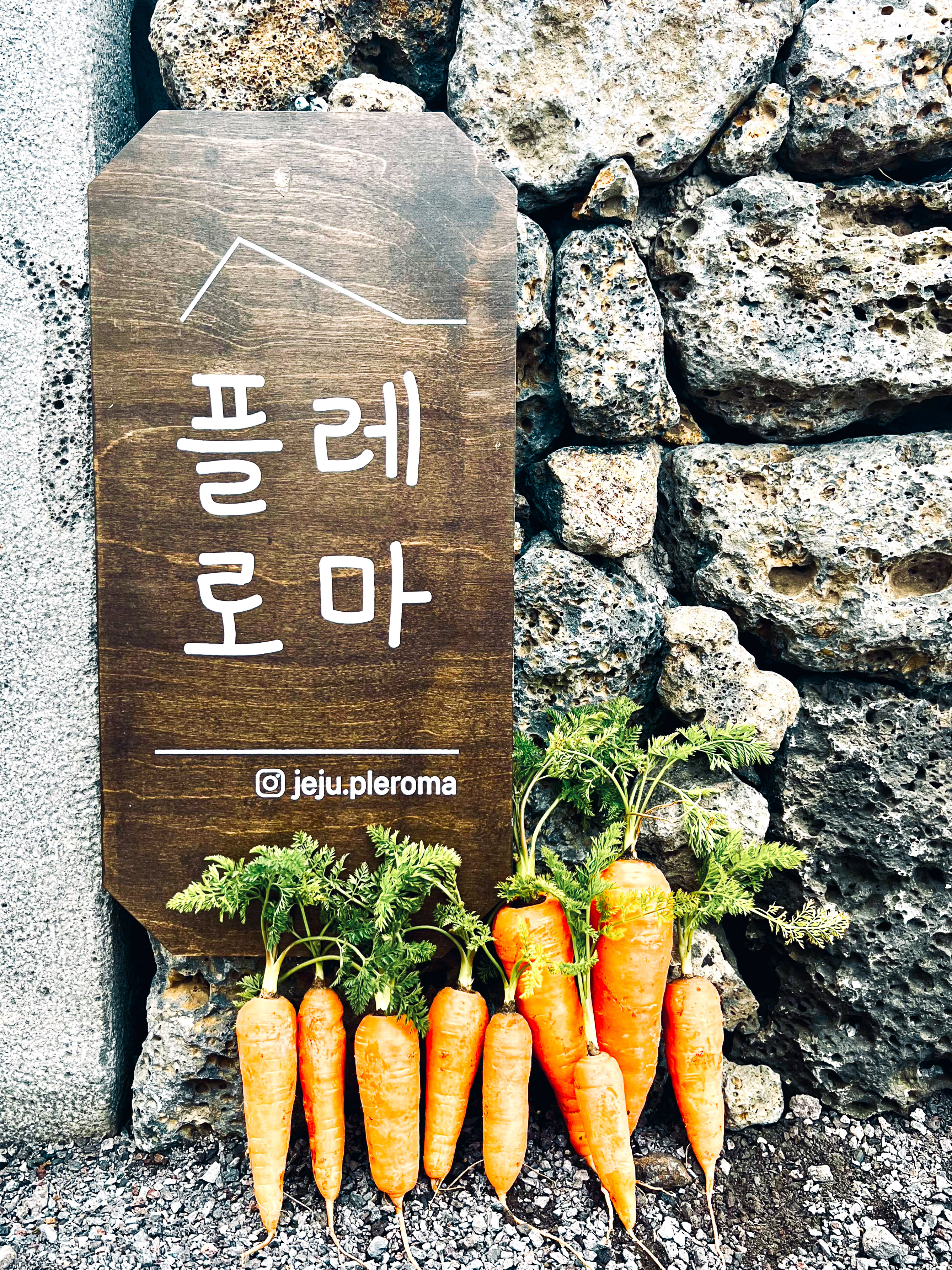 플레로마