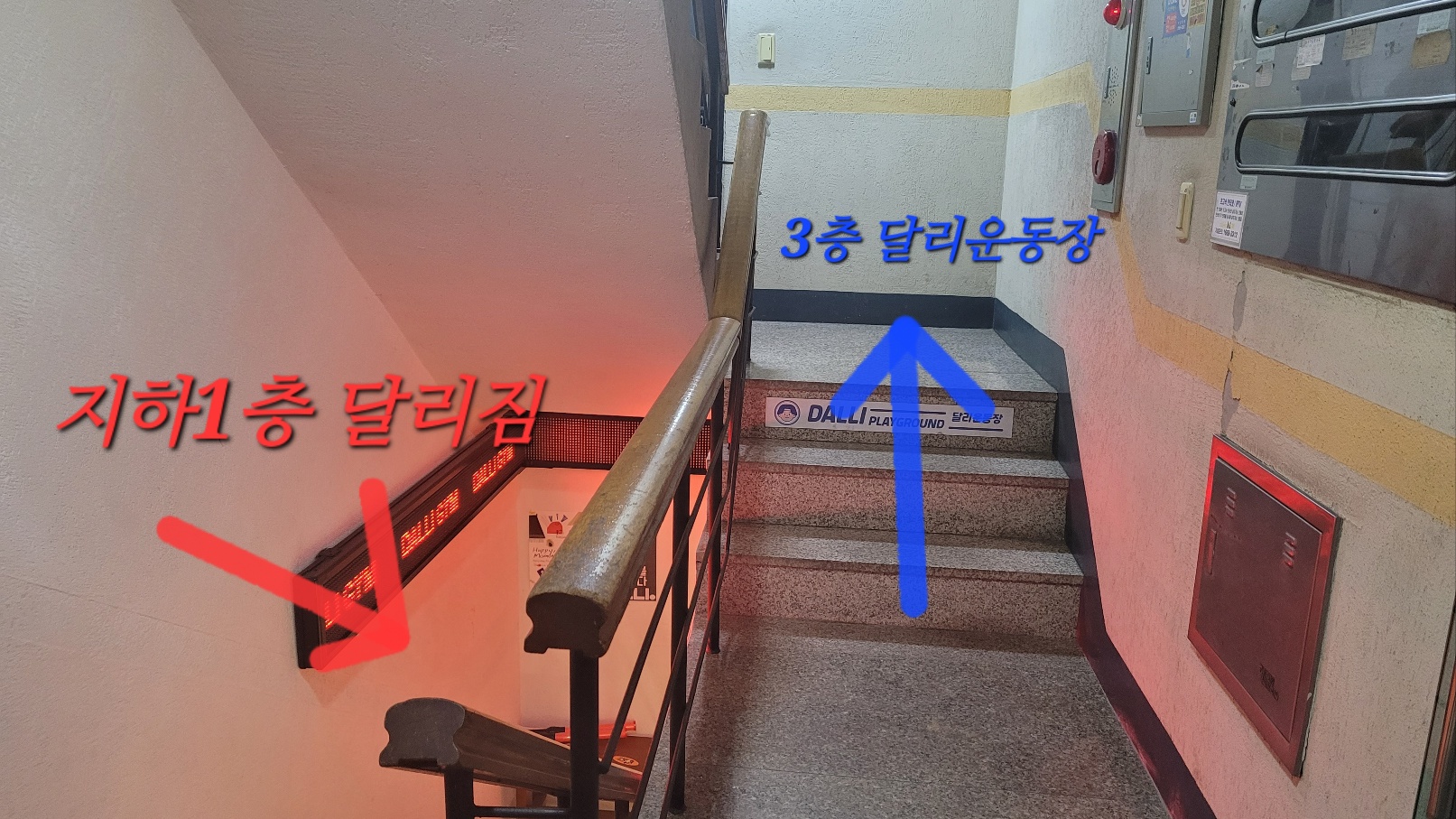 달리운동장 대표 이미지