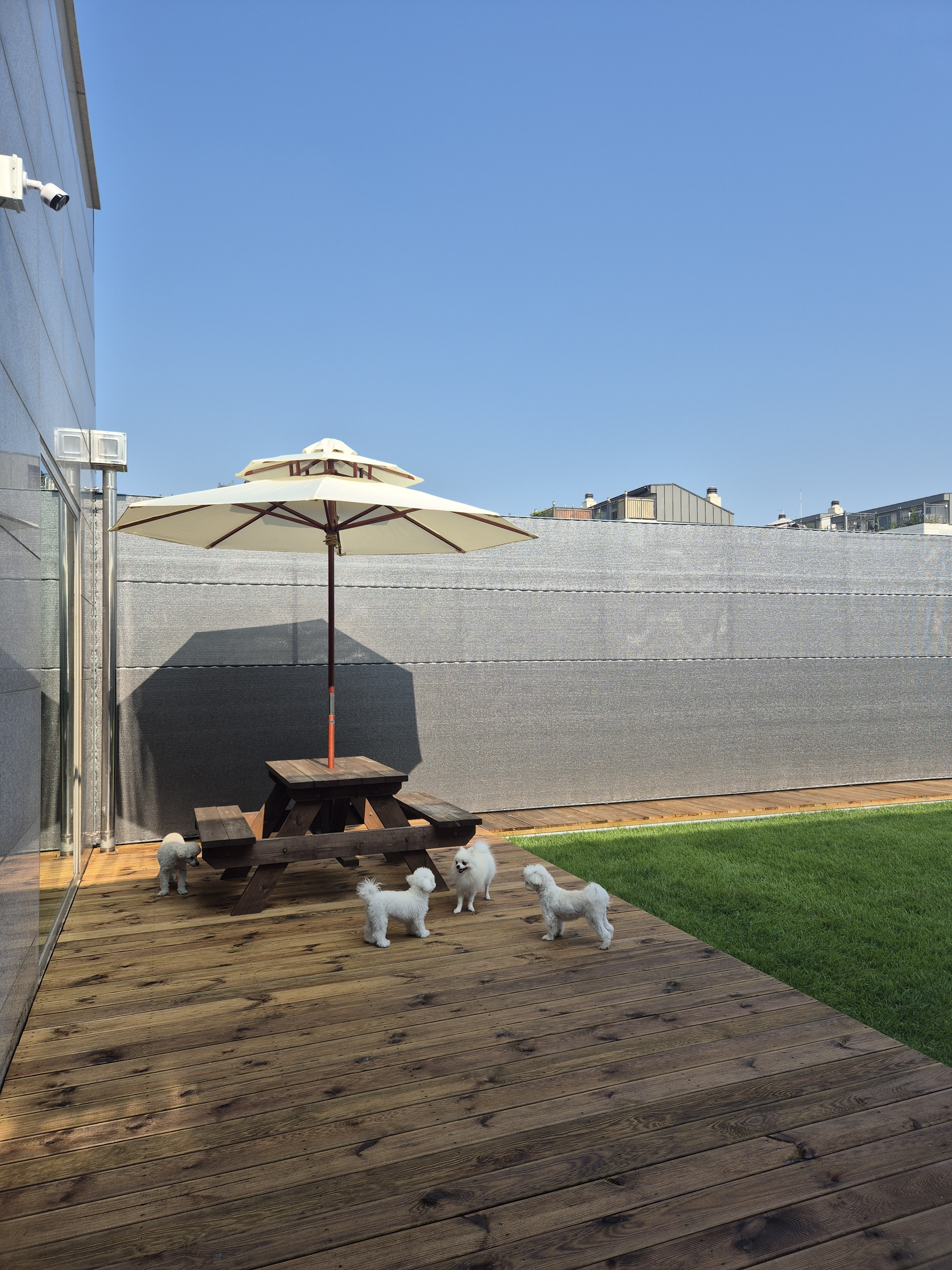 라인하트 애견호텔애견유치원 대표 이미지