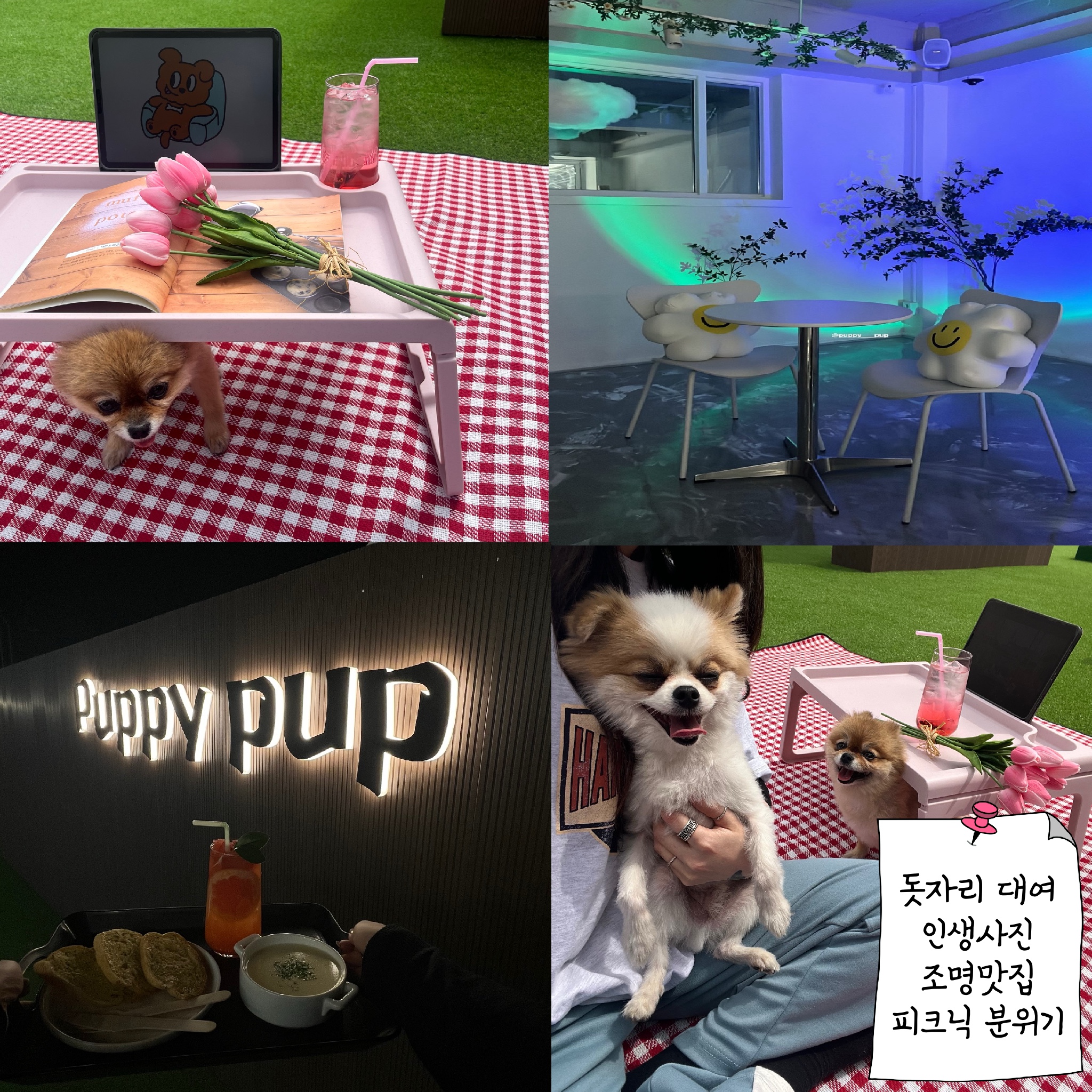 애니플레이퍼피펍 대표 이미지