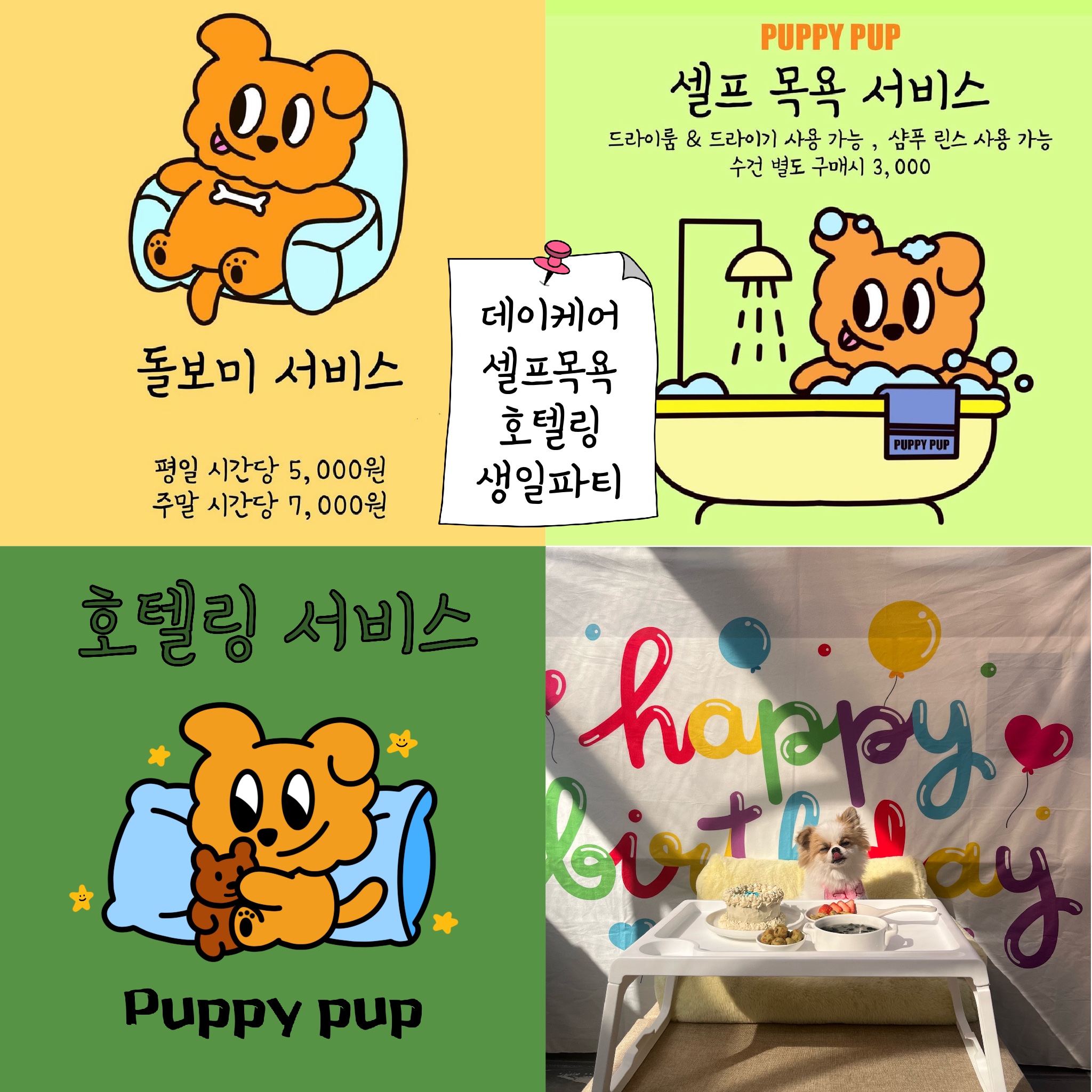 애니플레이퍼피펍 대표 이미지