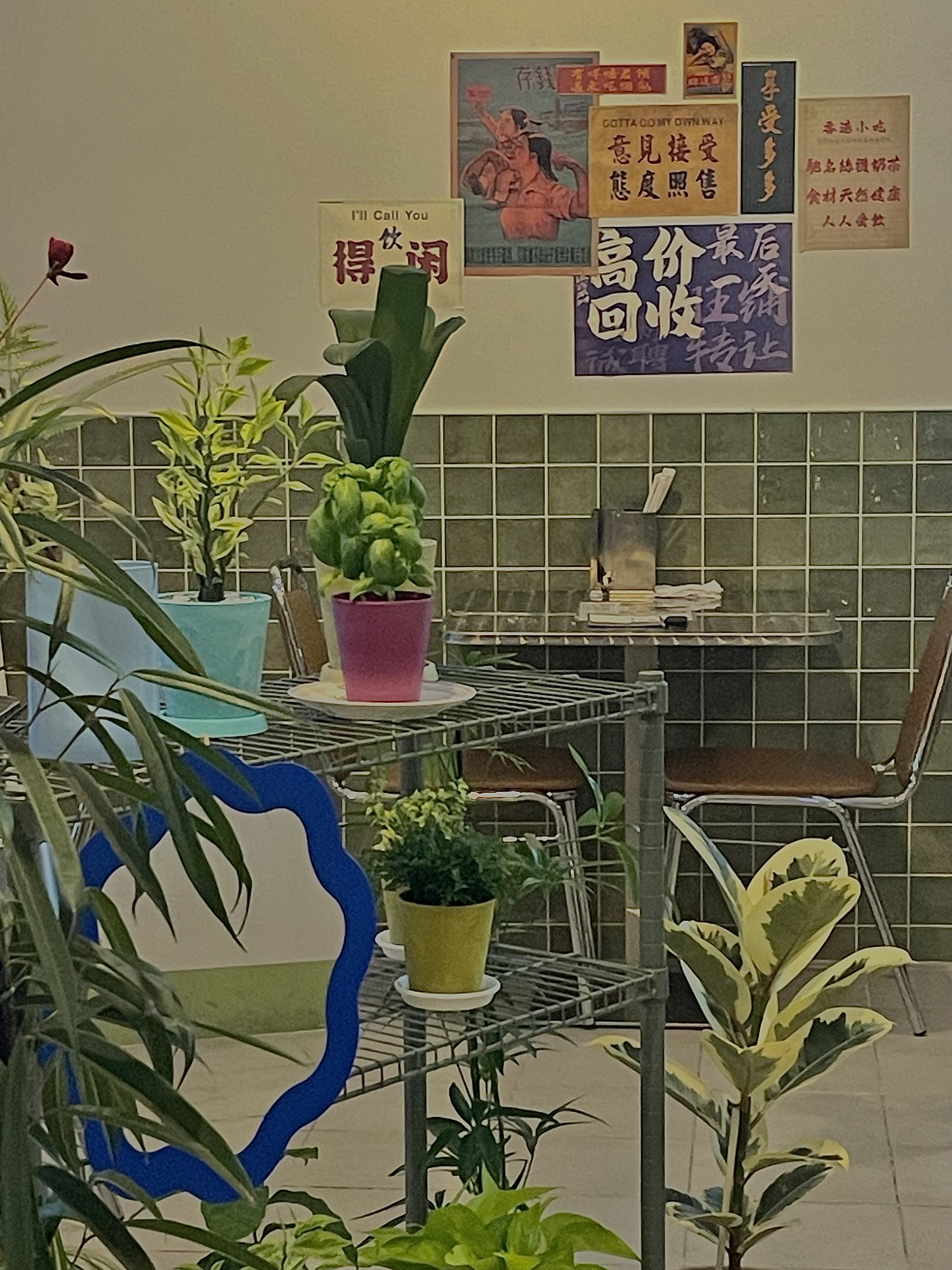 지에지에