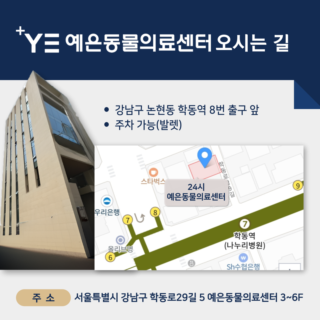 예은동물의료센터 대표 이미지