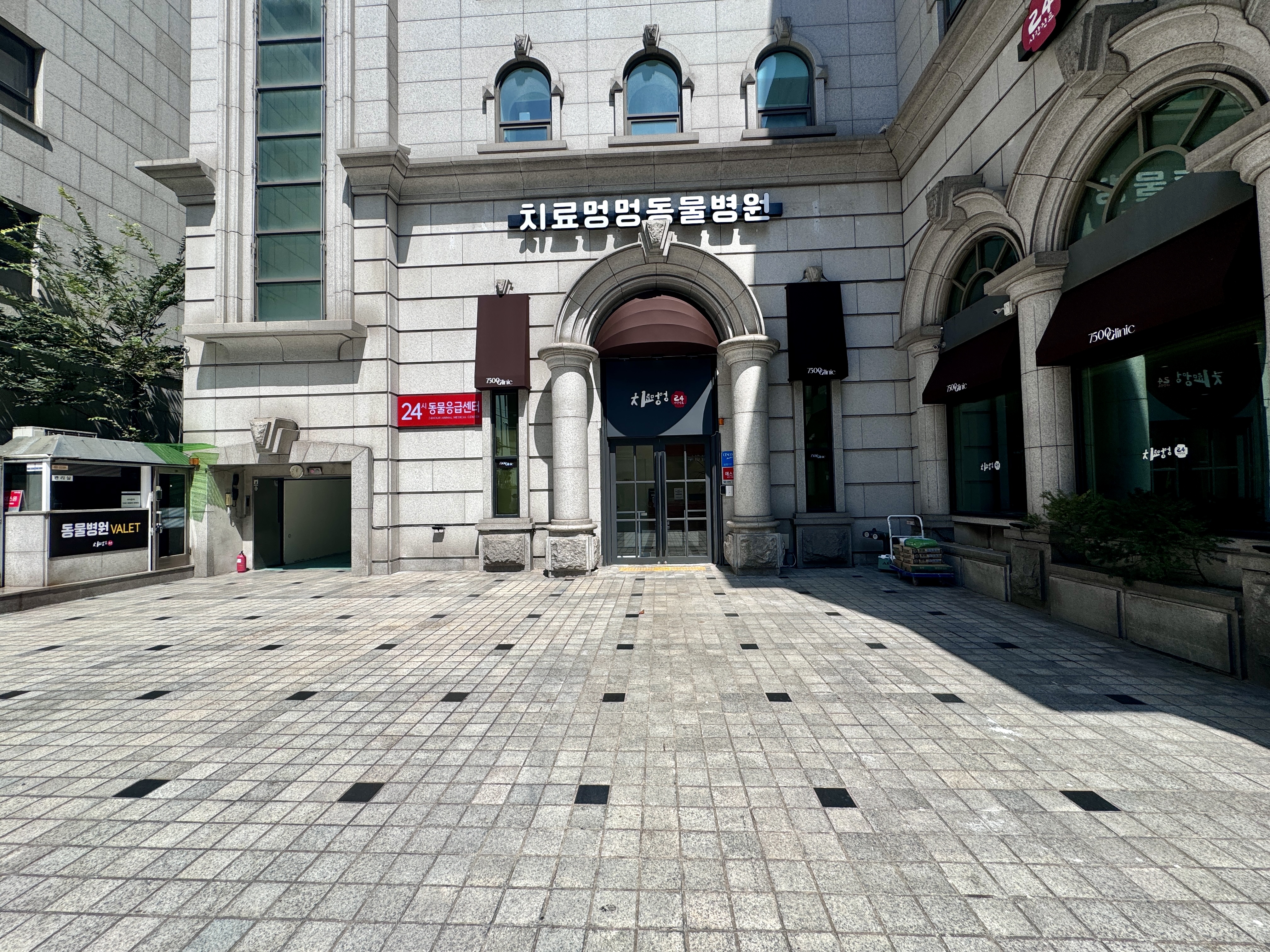 치료멍멍동물병원 신사본원 대표 이미지